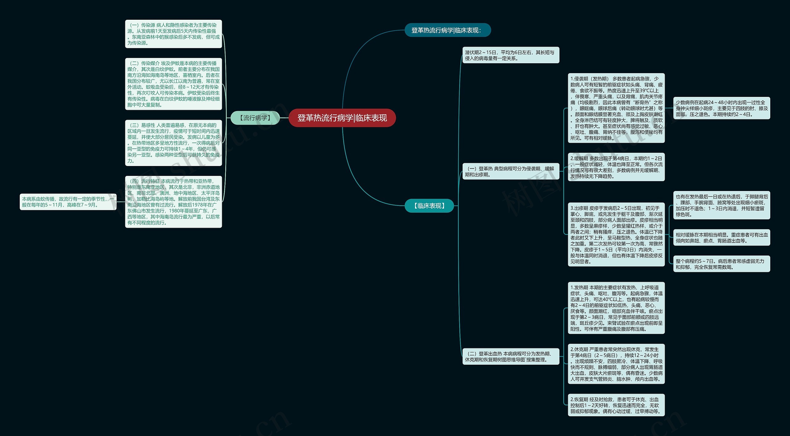 登革热流行病学|临床表现思维导图