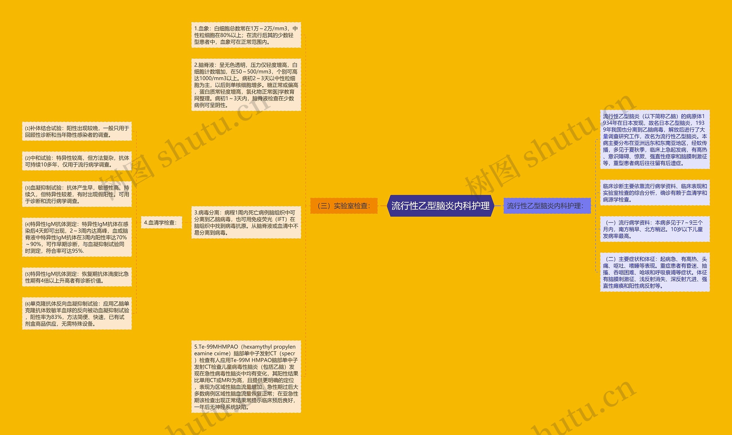 流行性乙型脑炎内科护理思维导图