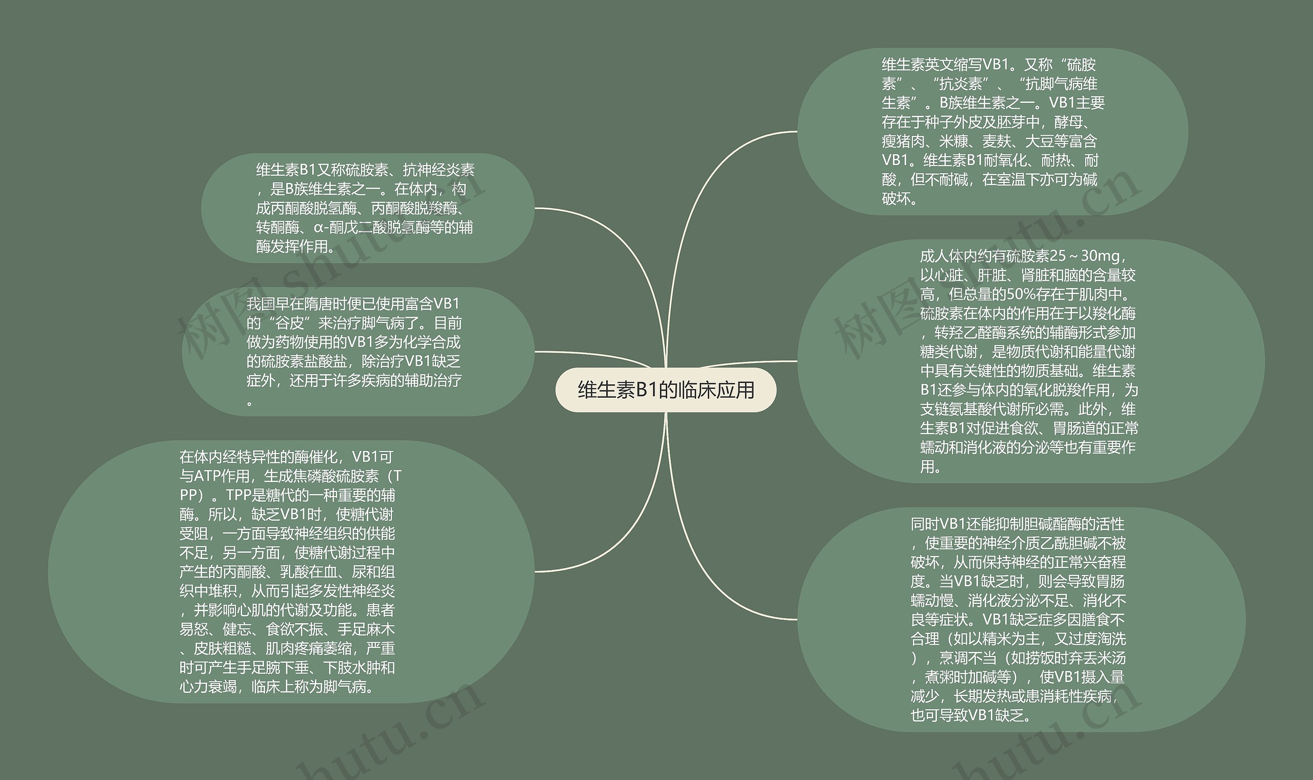 维生素B1的临床应用思维导图