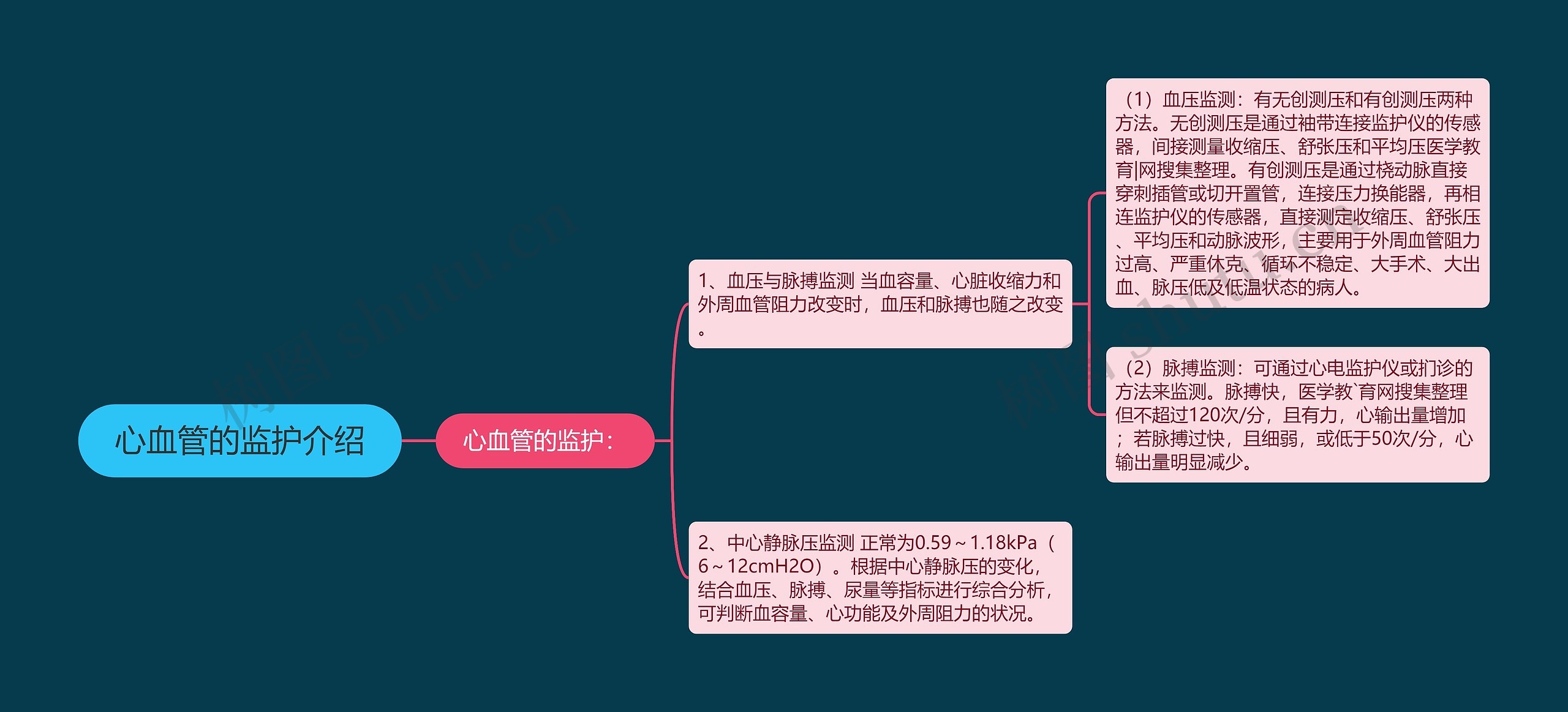 心血管的监护介绍