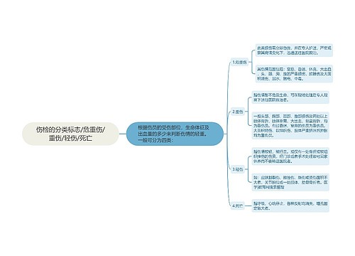 伤检的分类标志/危重伤/重伤/轻伤/死亡