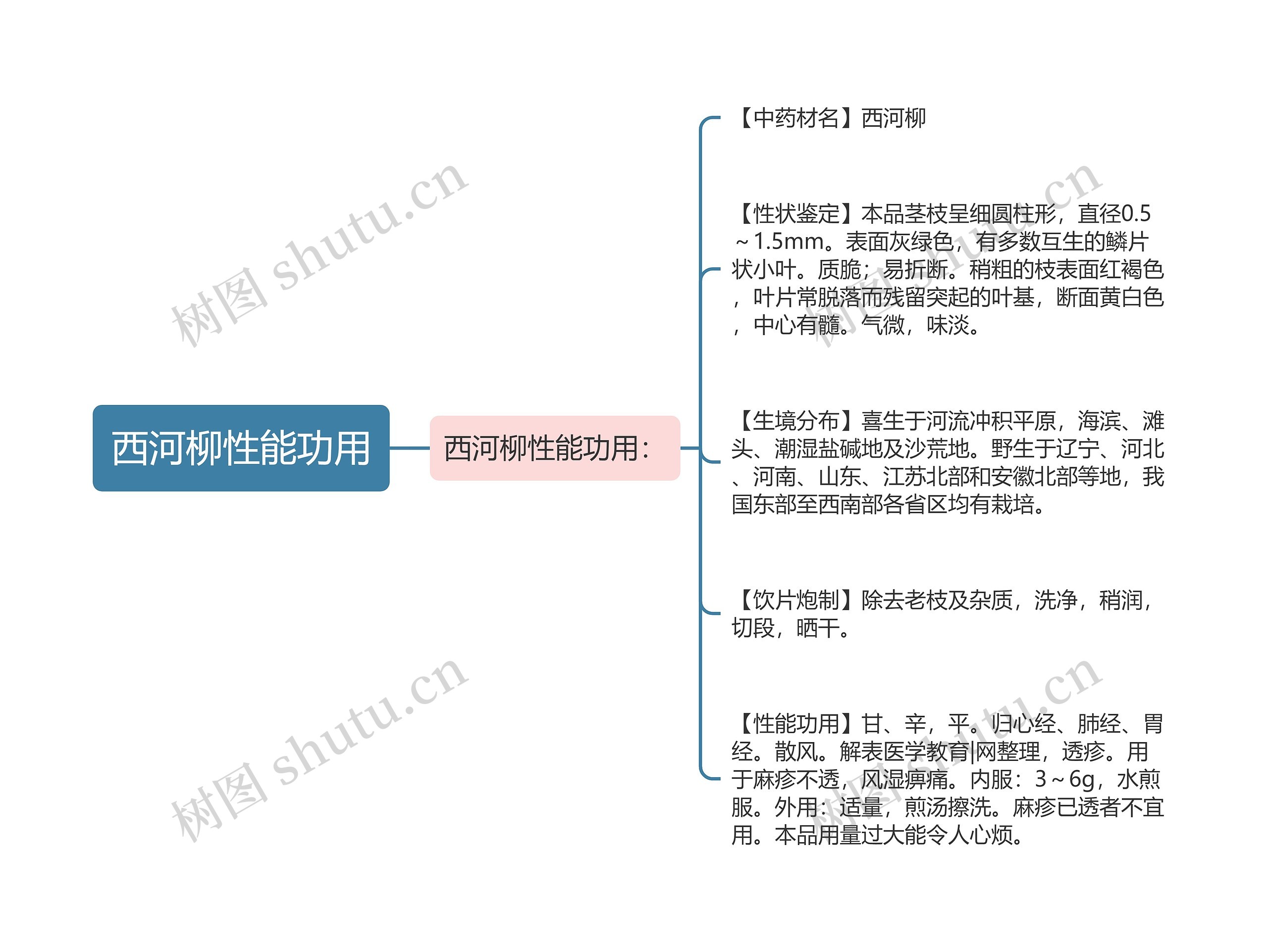 西河柳性能功用思维导图