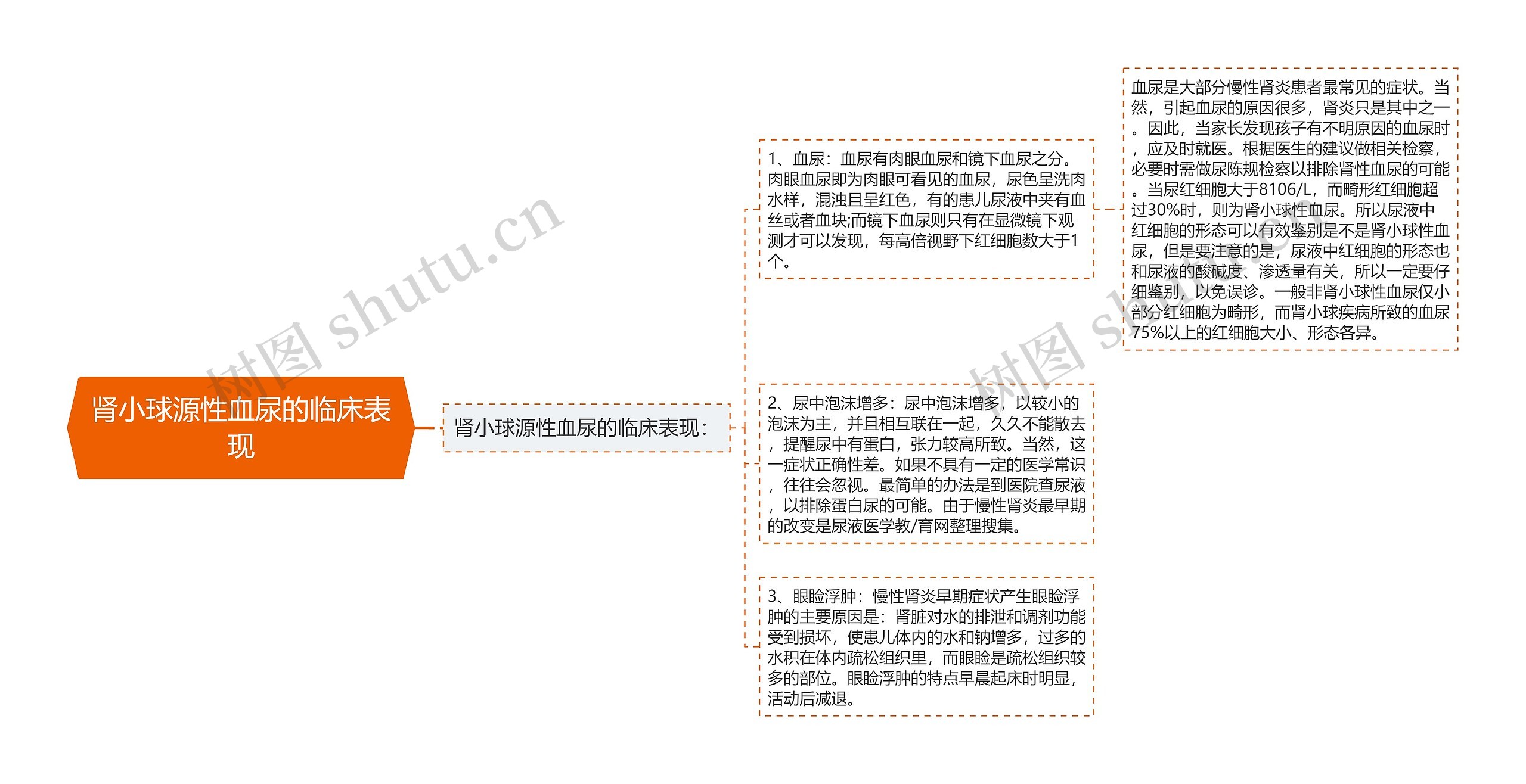 肾小球源性血尿的临床表现思维导图