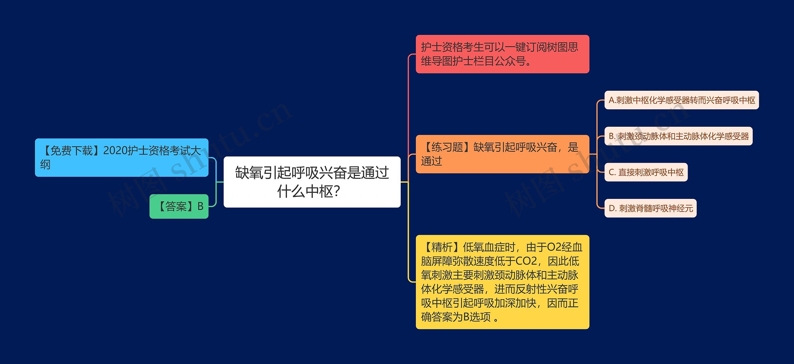 缺氧引起呼吸兴奋是通过什么中枢？思维导图