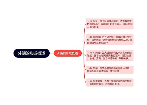 外阴的形成概述