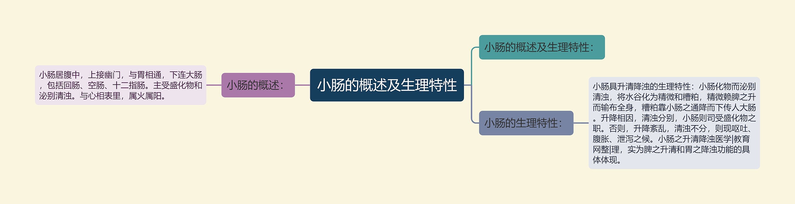 小肠的概述及生理特性思维导图