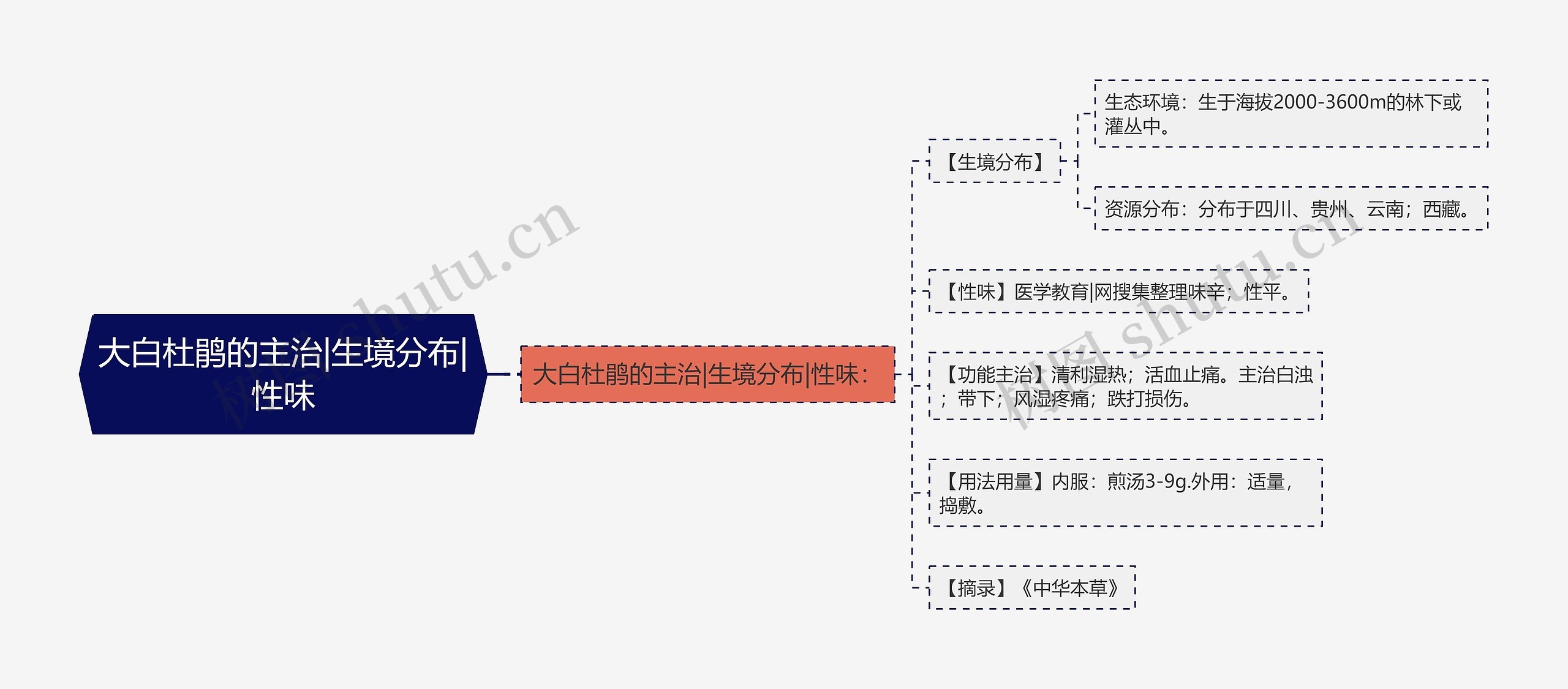 大白杜鹃的主治|生境分布|性味思维导图