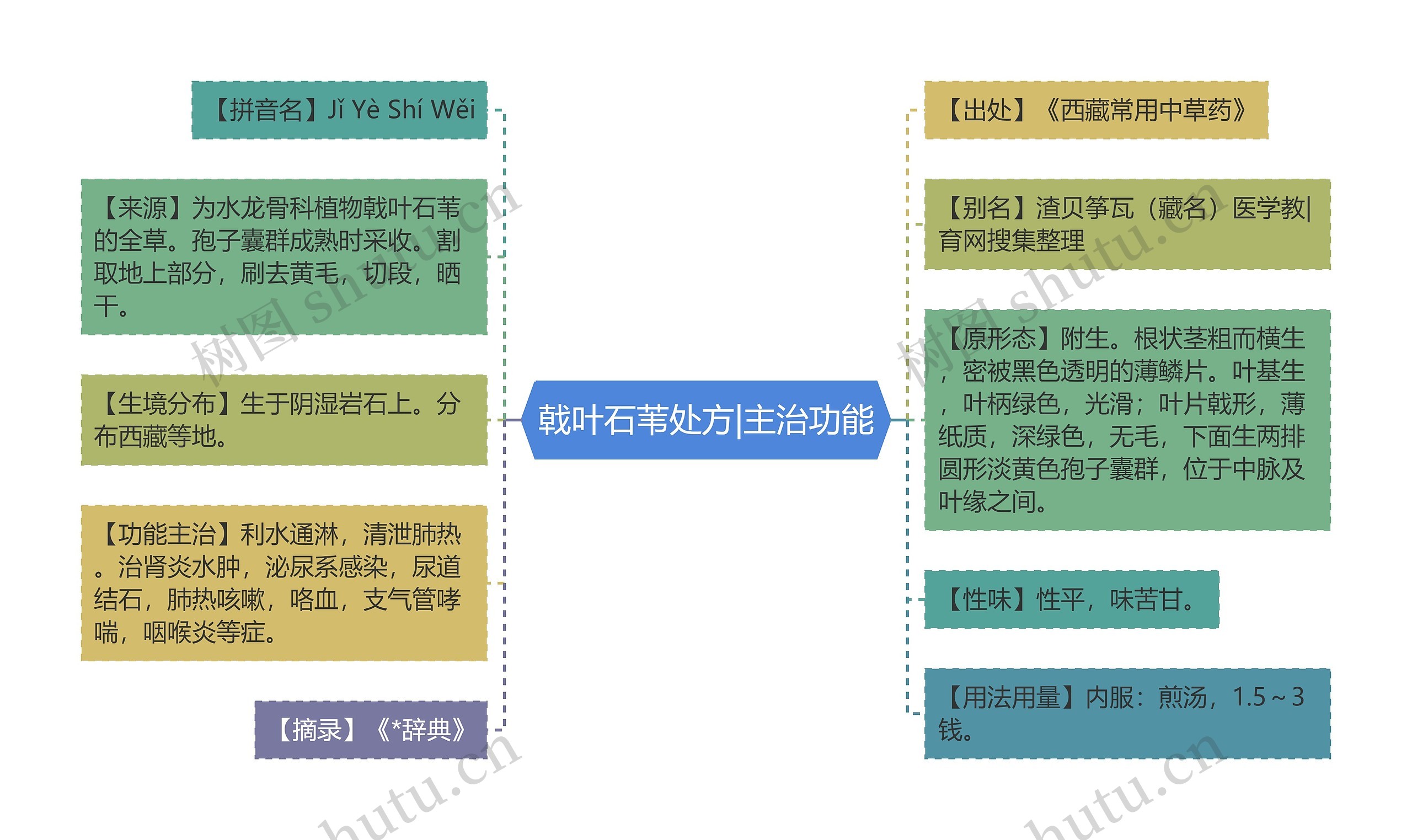 戟叶石苇处方|主治功能思维导图