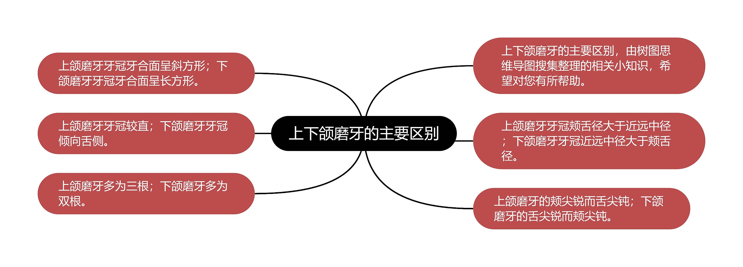 上下颌磨牙的主要区别