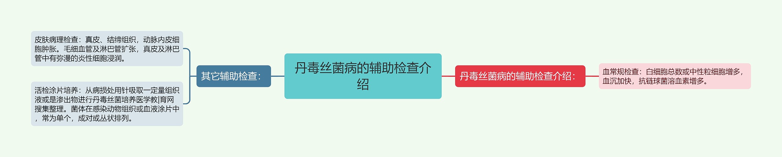 丹毒丝菌病的辅助检查介绍 丹毒丝菌病的辅助检查介绍