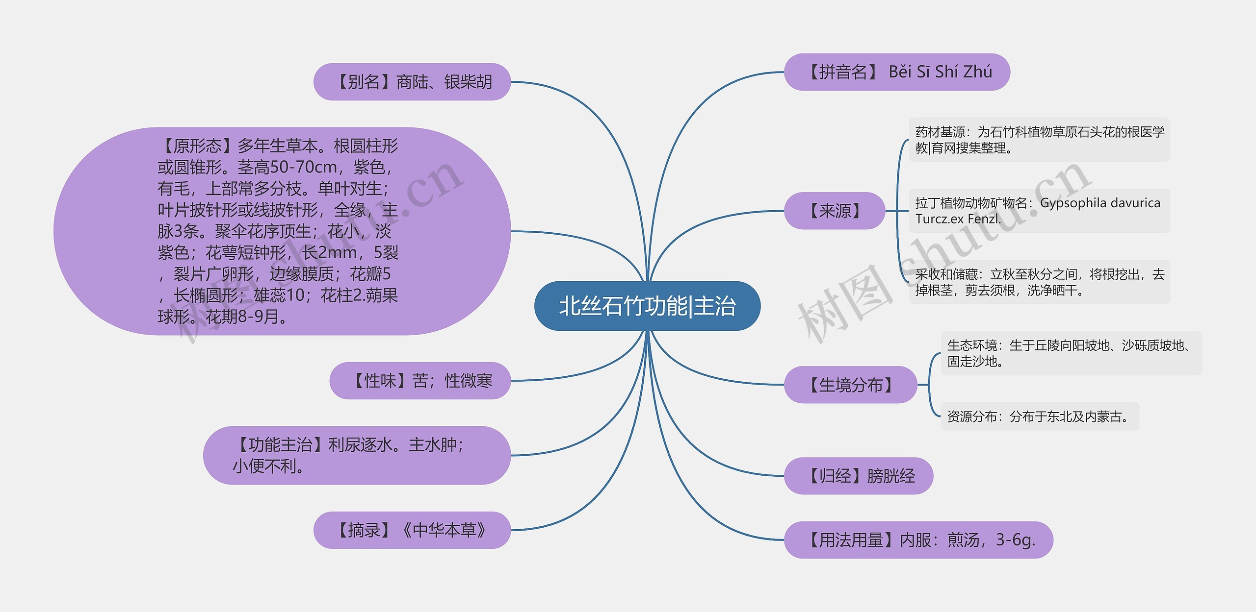 北丝石竹功能|主治思维导图