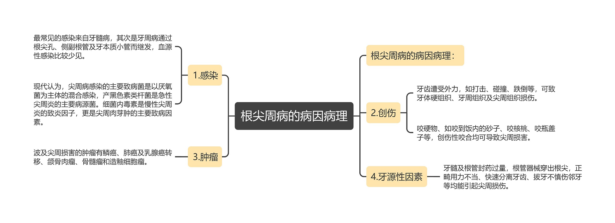 根尖周病的病因病理