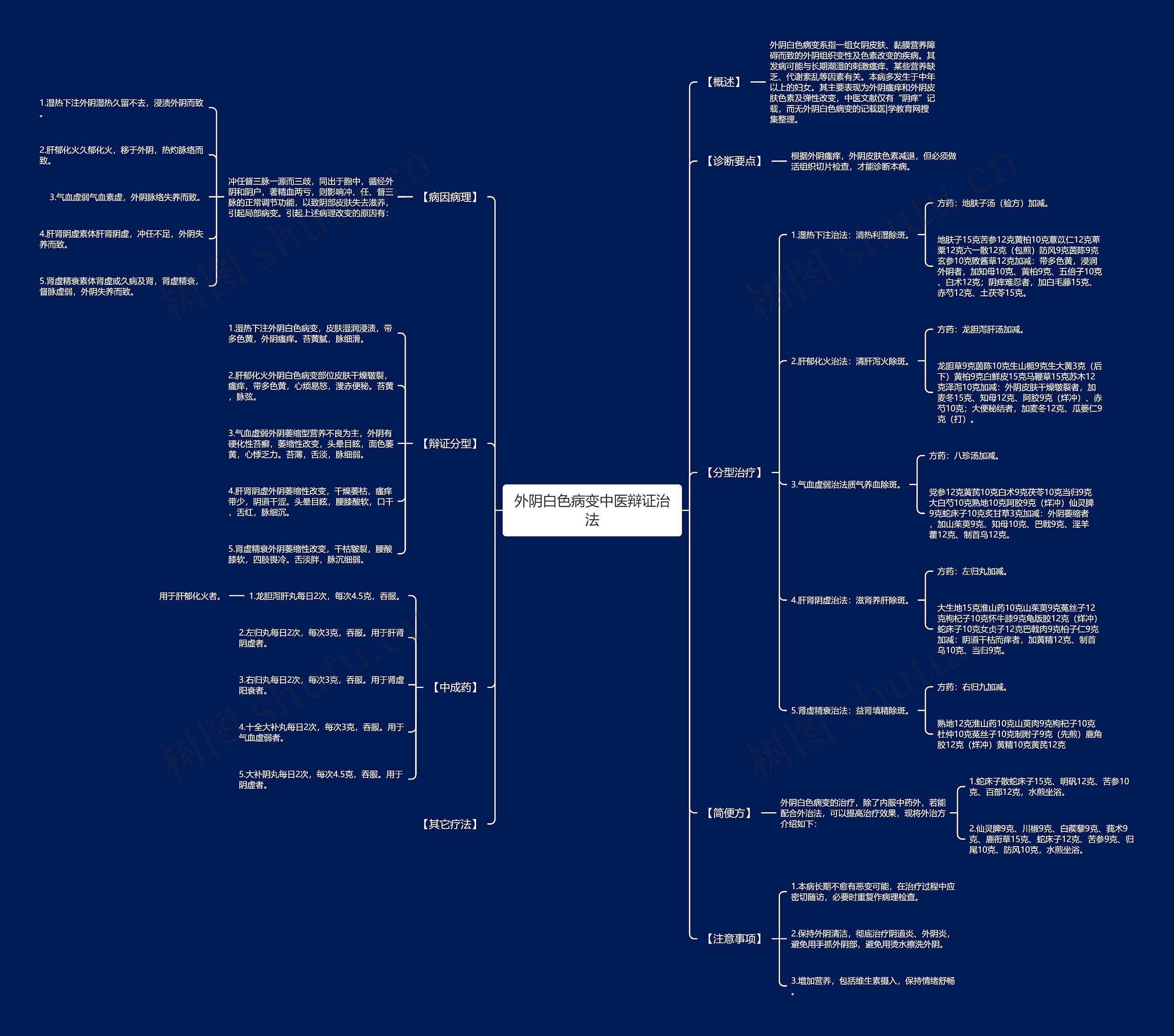 外阴白色病变中医辩证治法思维导图