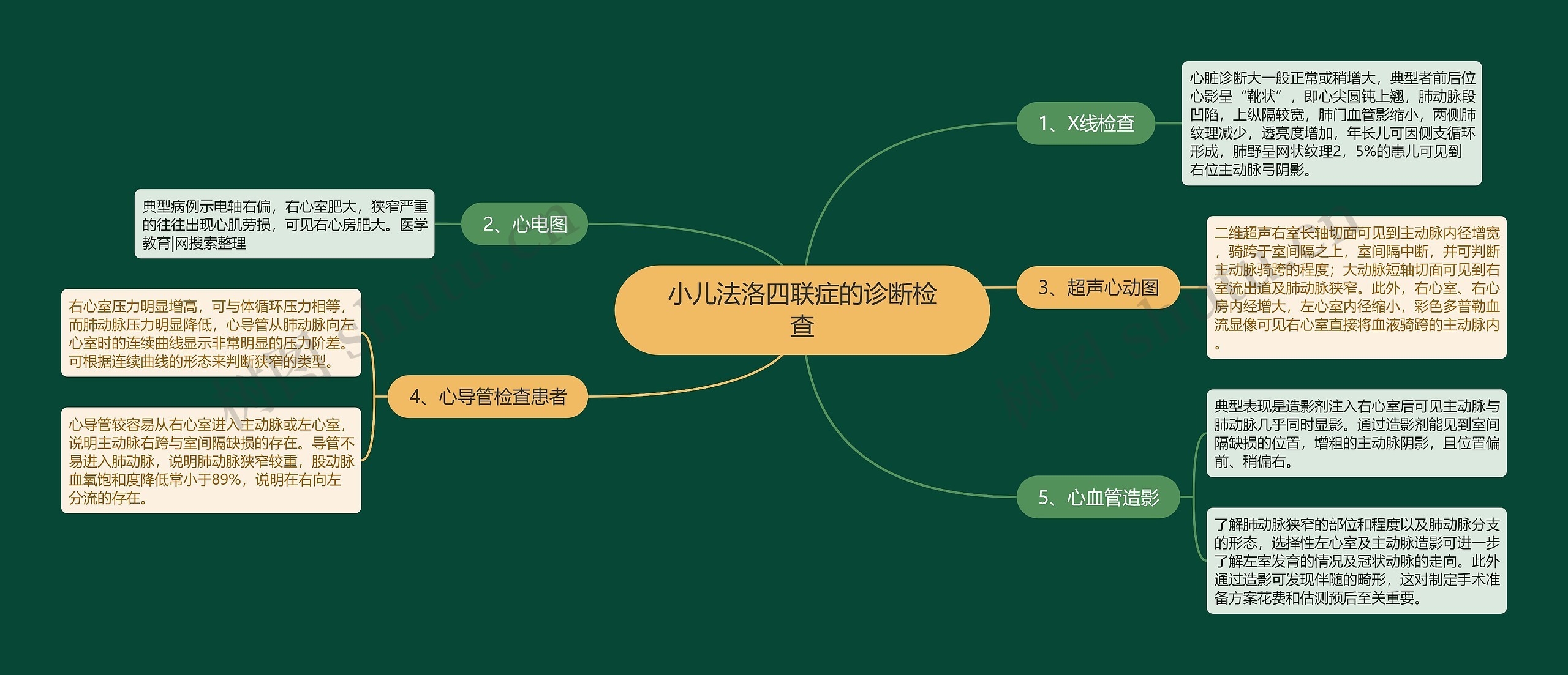 小儿法洛四联症的诊断检查思维导图