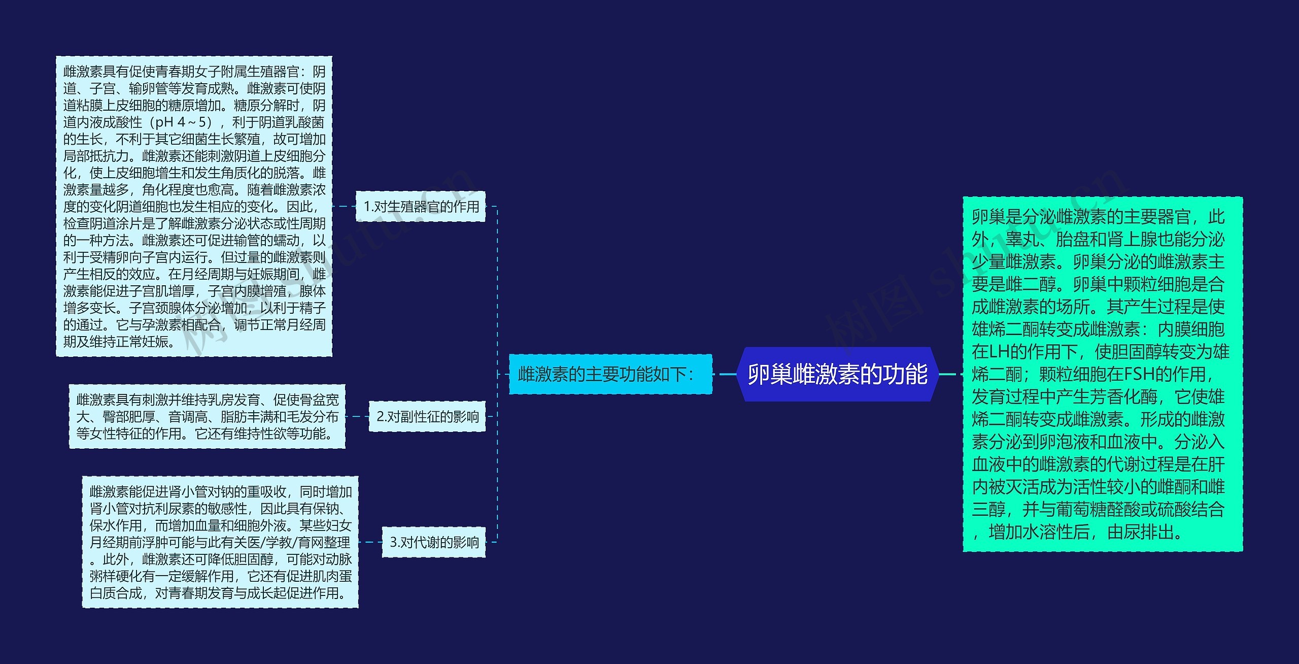 卵巢雌激素的功能思维导图