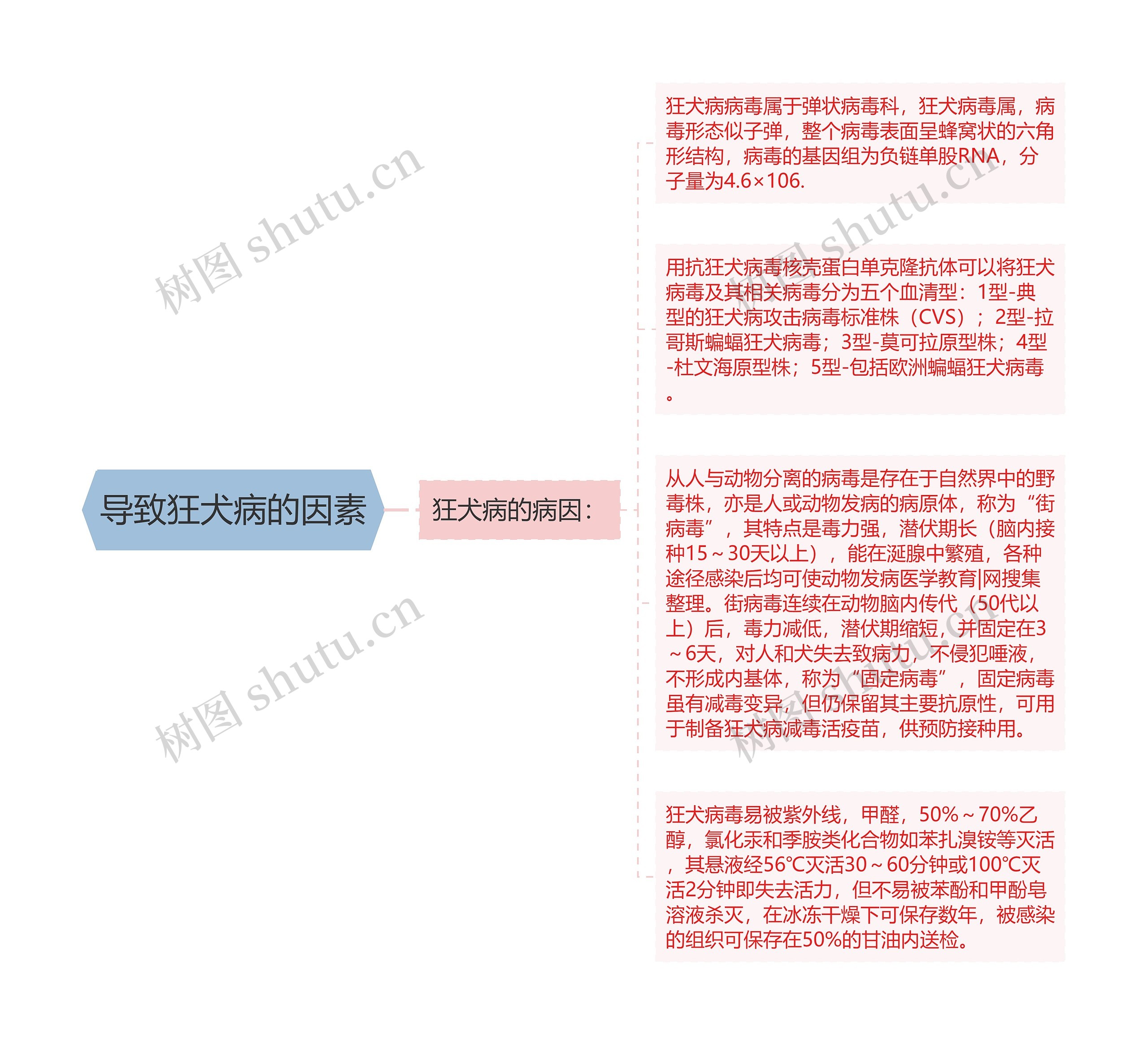 导致狂犬病的因素 导致狂犬病的因素