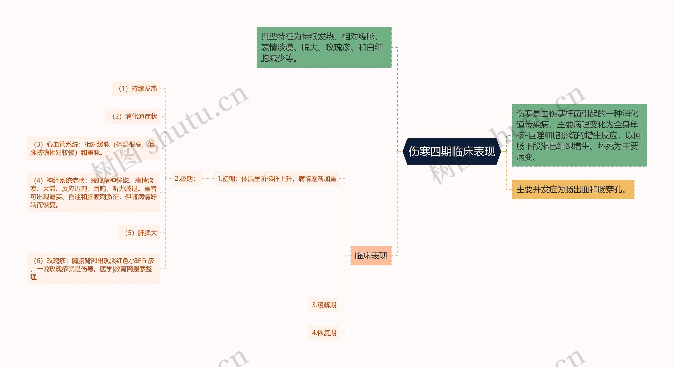 伤寒四期临床表现思维导图