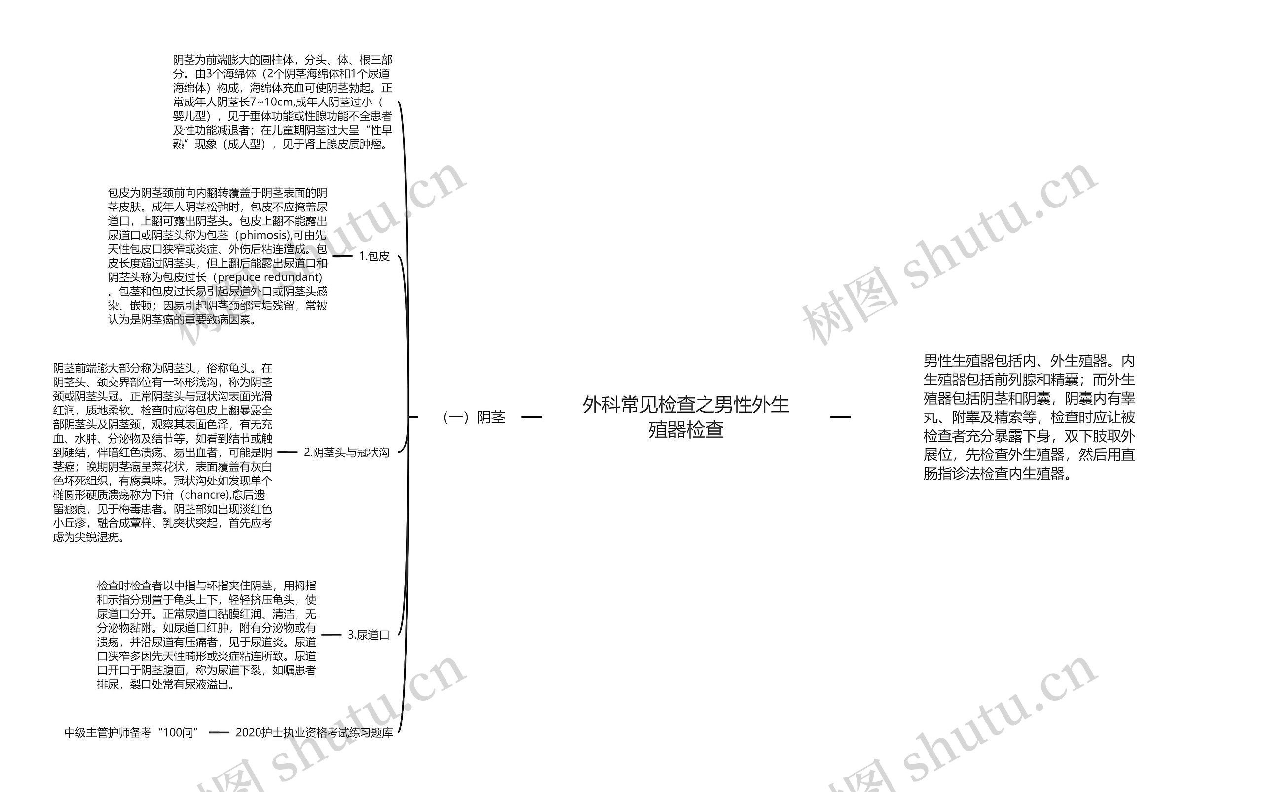 外科常见检查之男性外生殖器检查