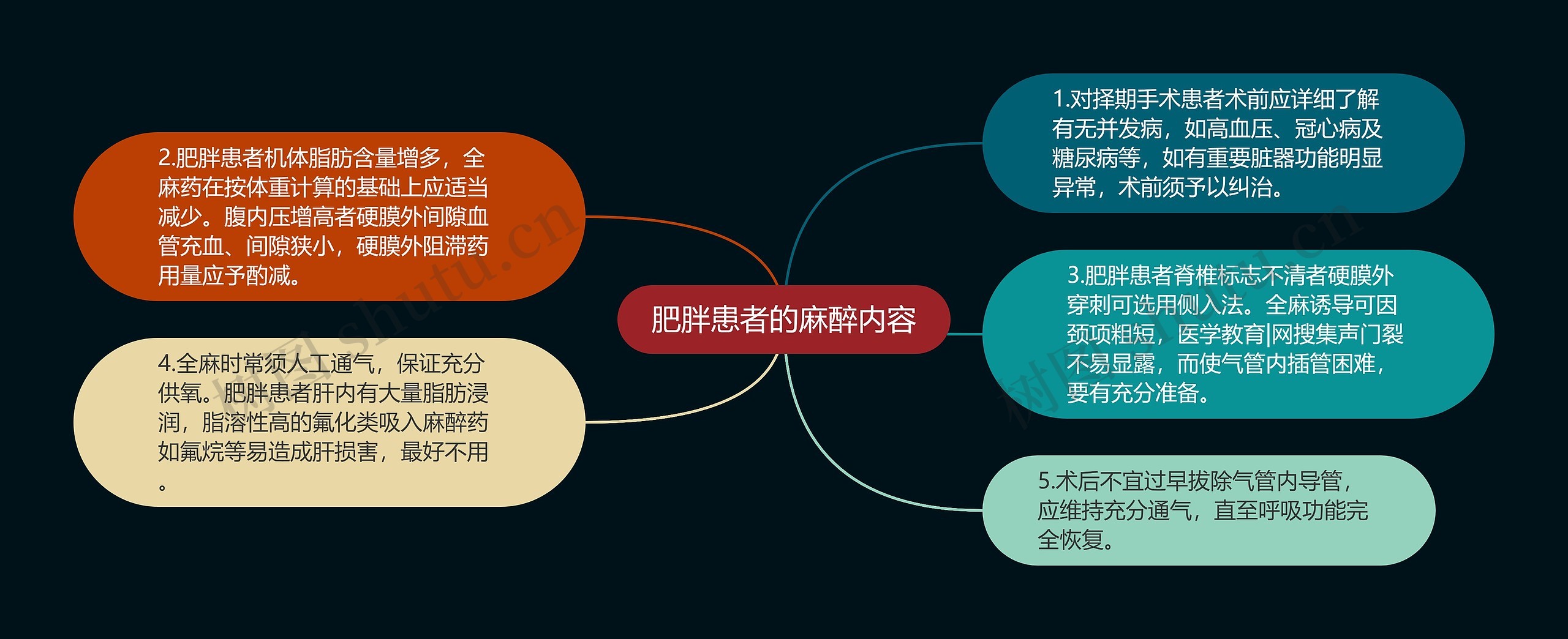 肥胖患者的麻醉内容思维导图