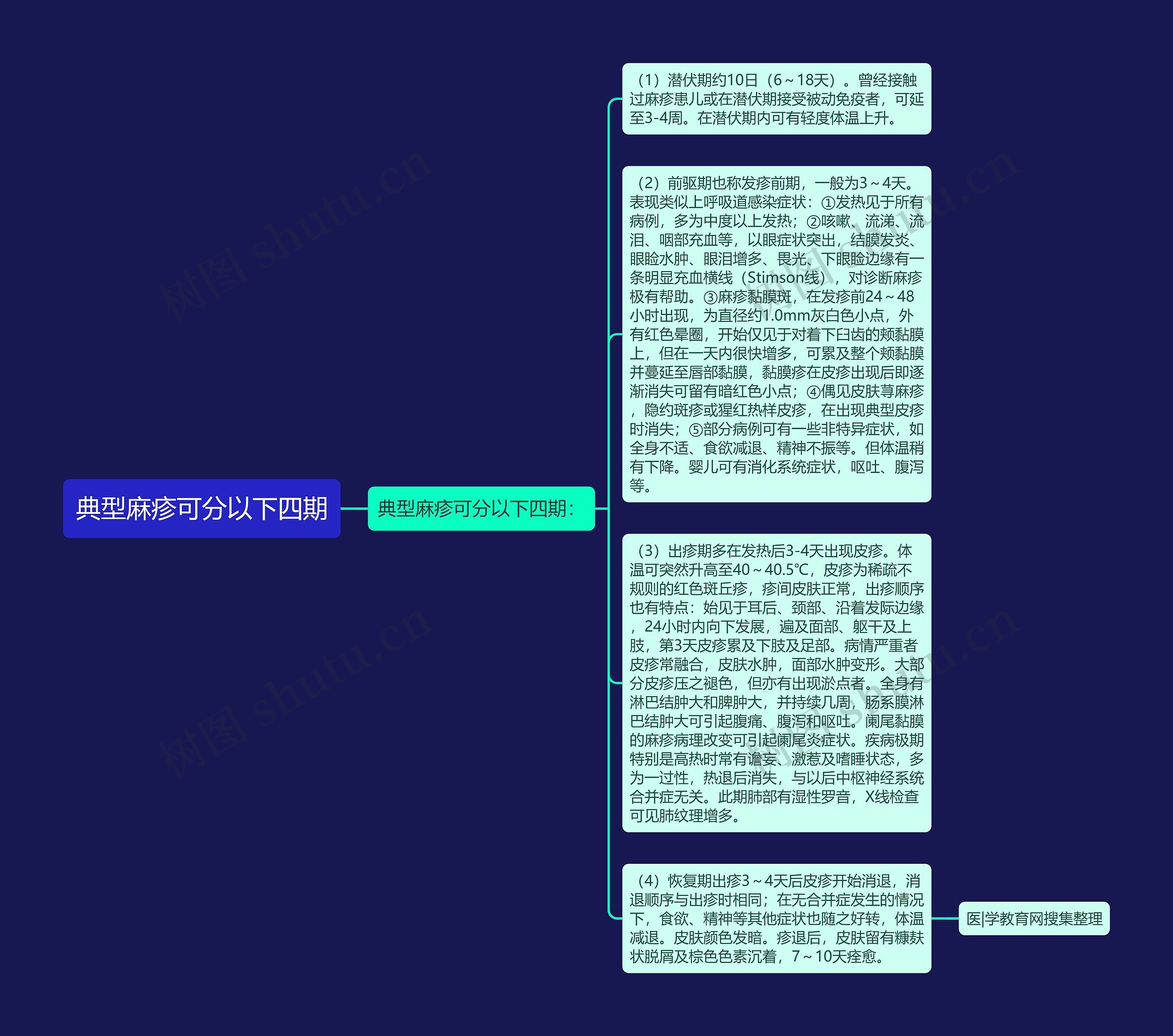 典型麻疹可分以下四期思维导图