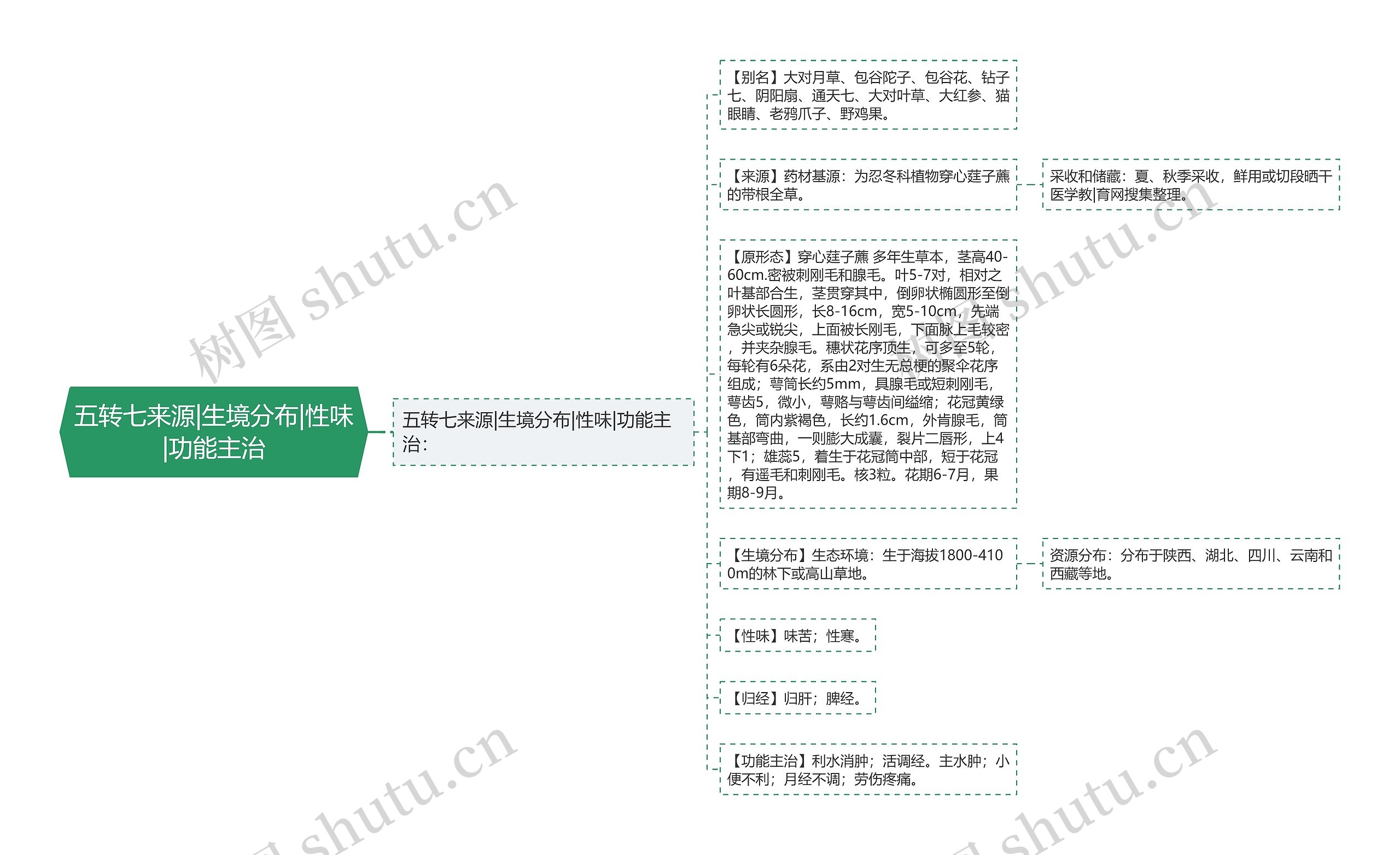 五转七来源|生境分布|性味|功能主治思维导图