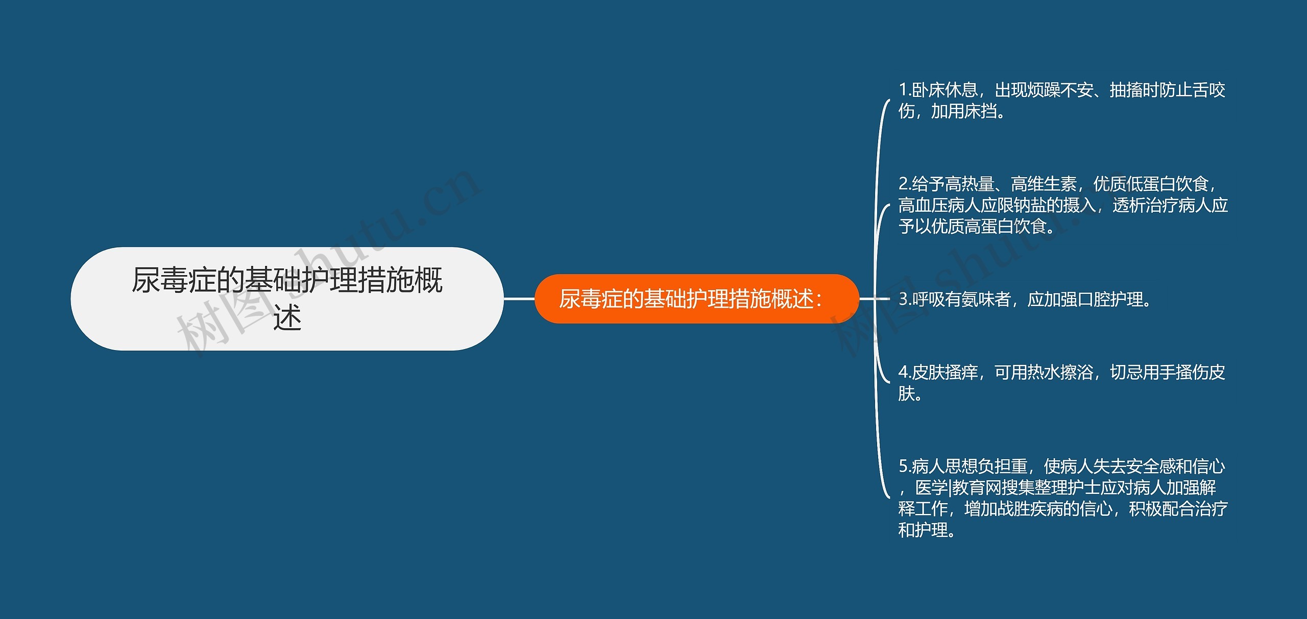 尿毒症的基础护理措施概述思维导图