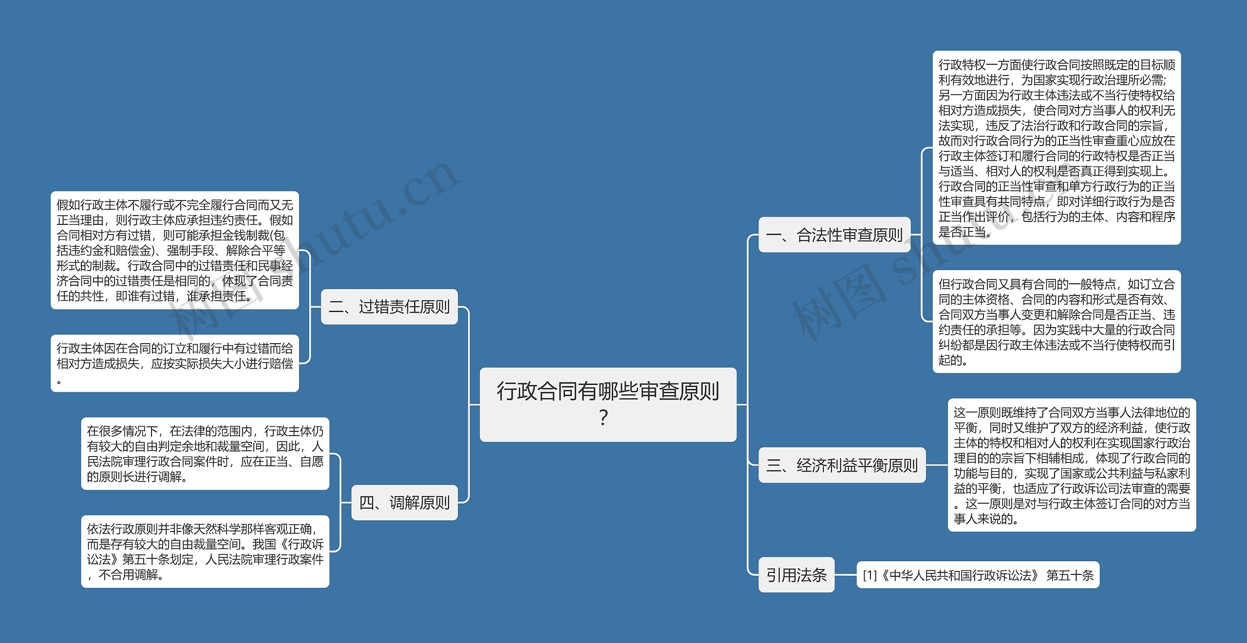 行政合同有哪些审查原则？思维导图