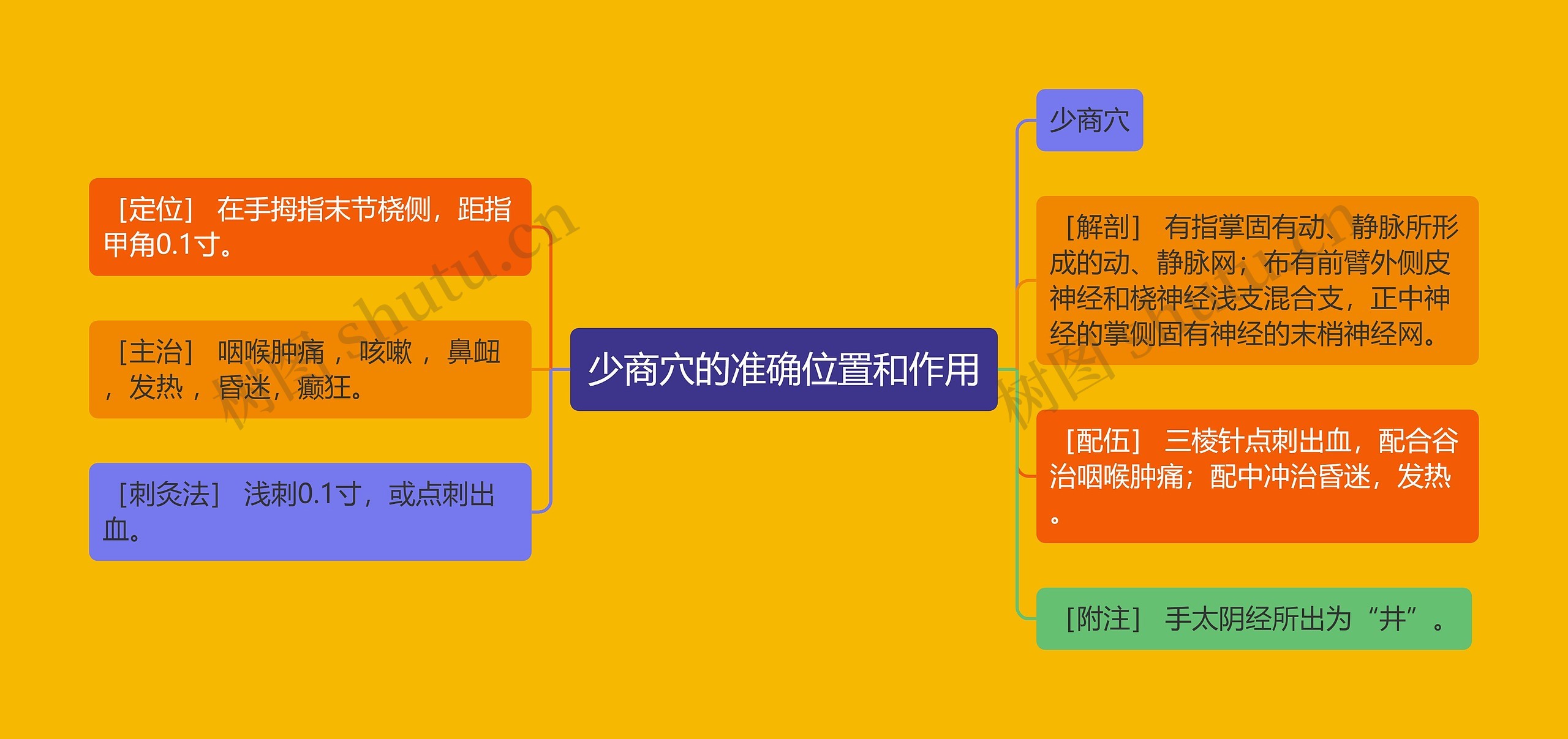 少商穴的准确位置和作用思维导图