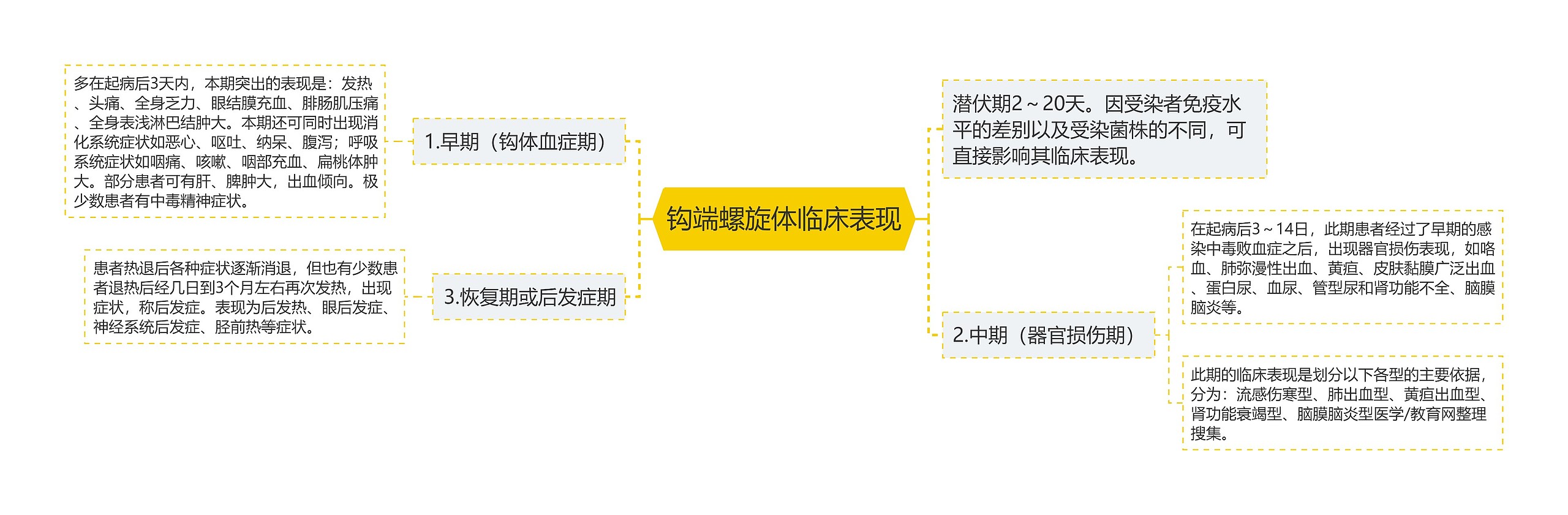 钩端螺旋体临床表现