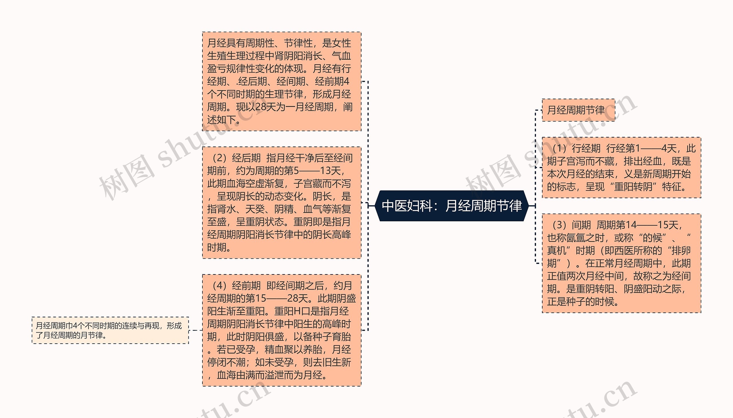 中医妇科：月经周期节律思维导图