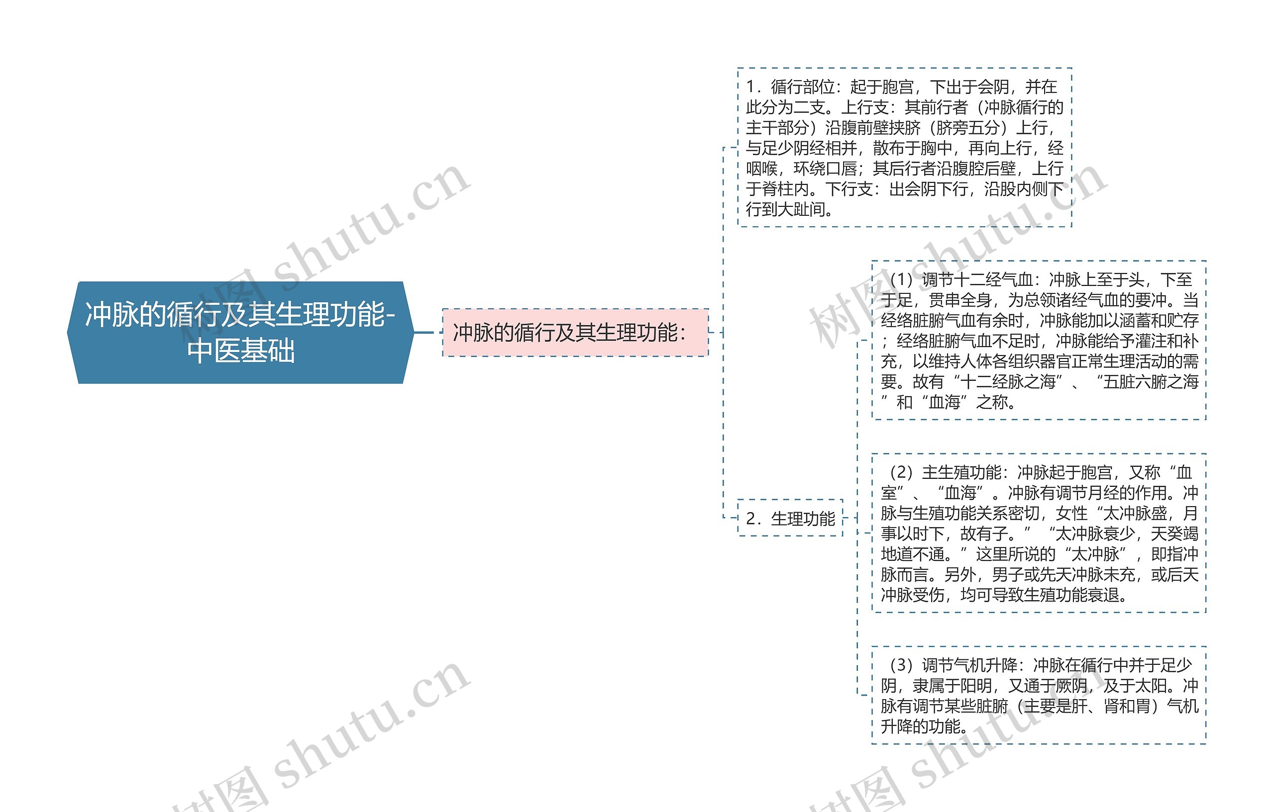 冲脉的循行及其生理功能-中医基础