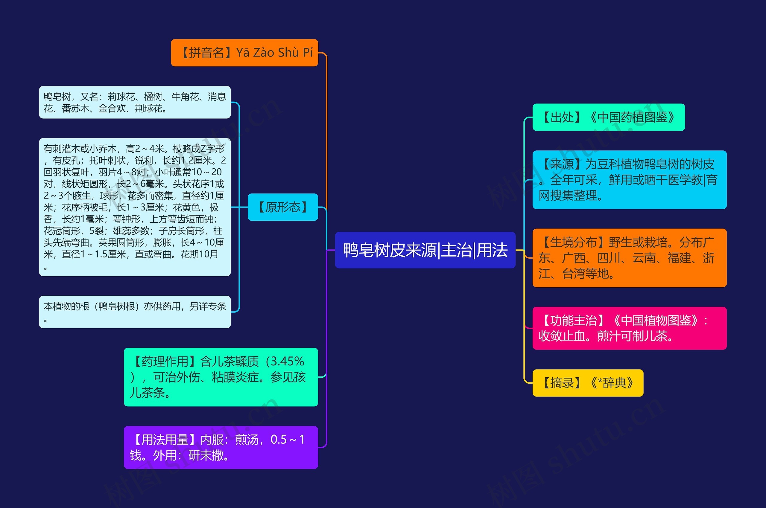 鸭皂树皮来源|主治|用法思维导图