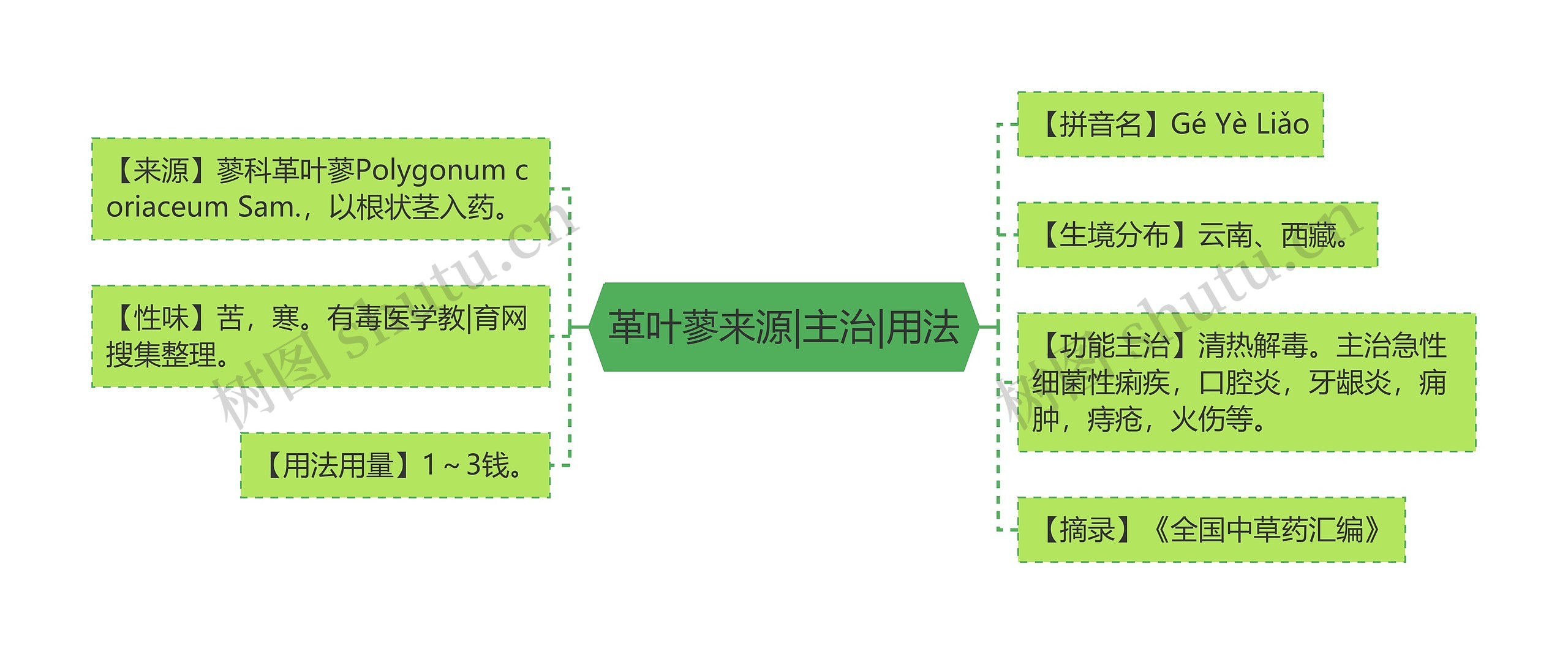 革叶蓼来源|主治|用法思维导图