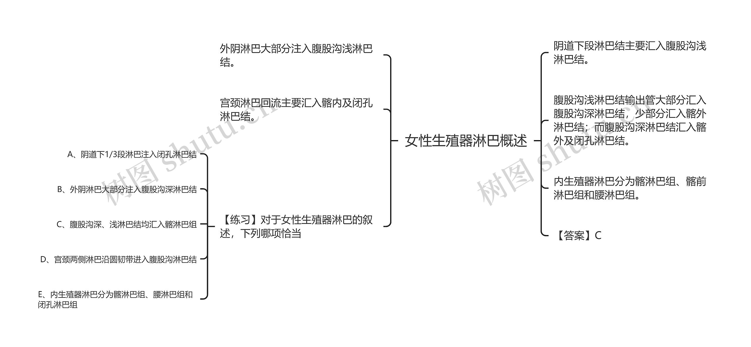 女性生殖器淋巴概述思维导图