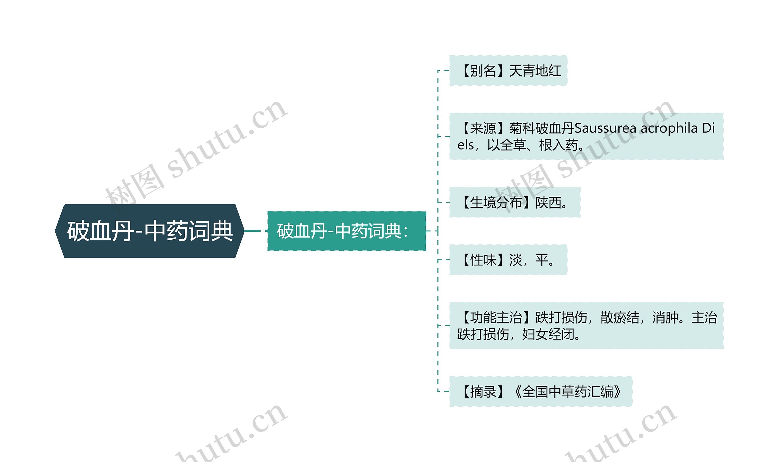 破血丹-中药词典思维导图