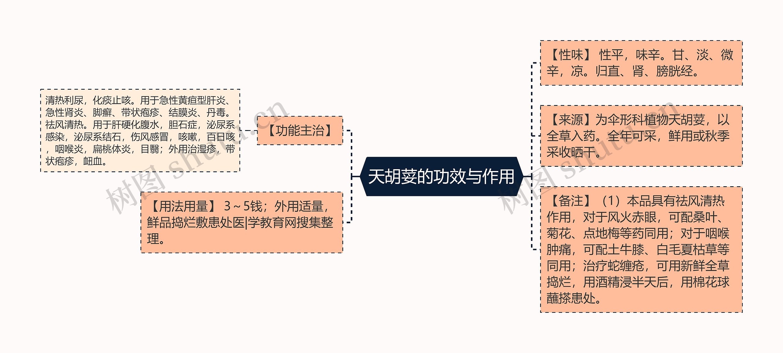 天胡荽的功效与作用思维导图