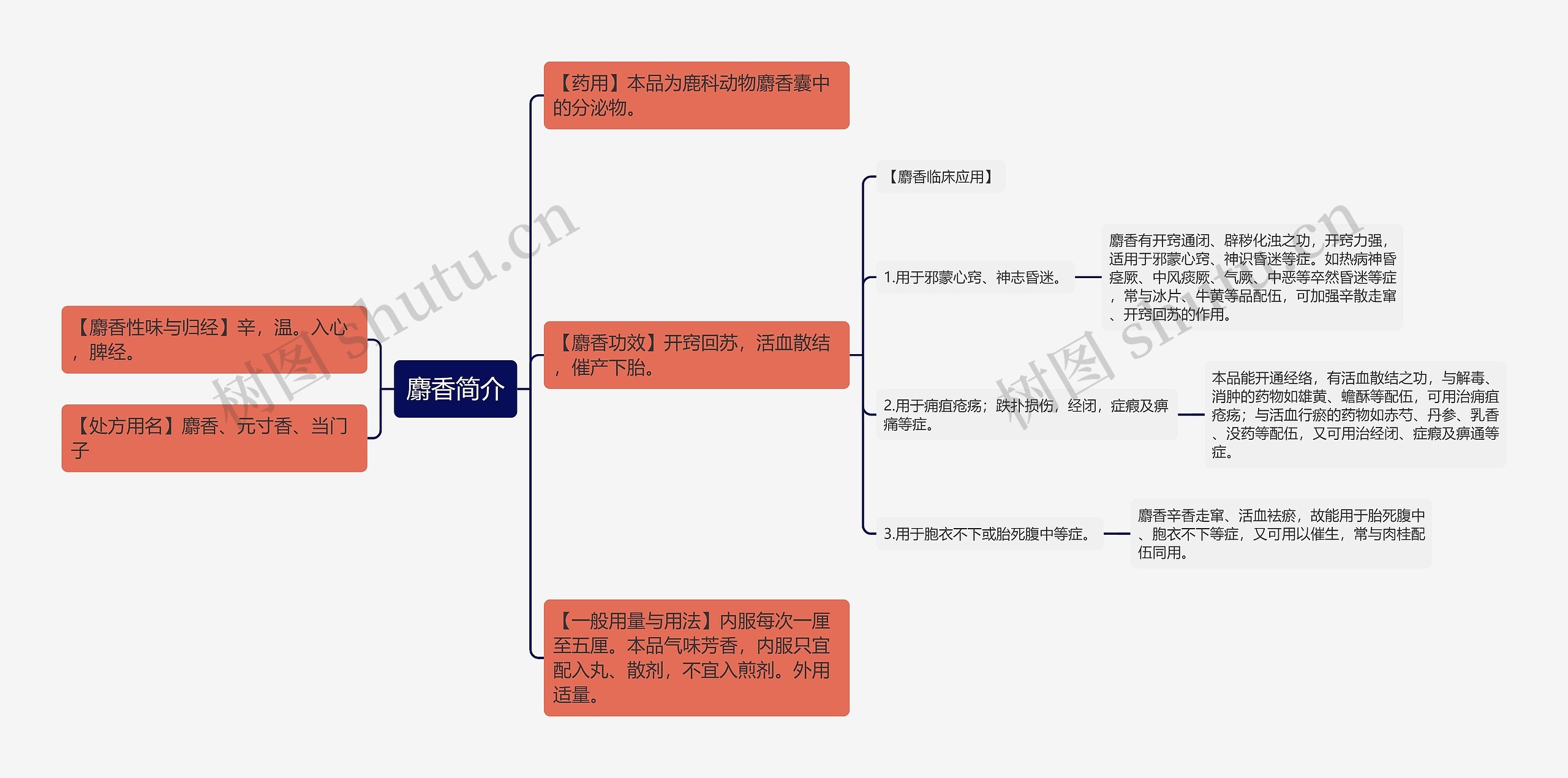 麝香简介思维导图