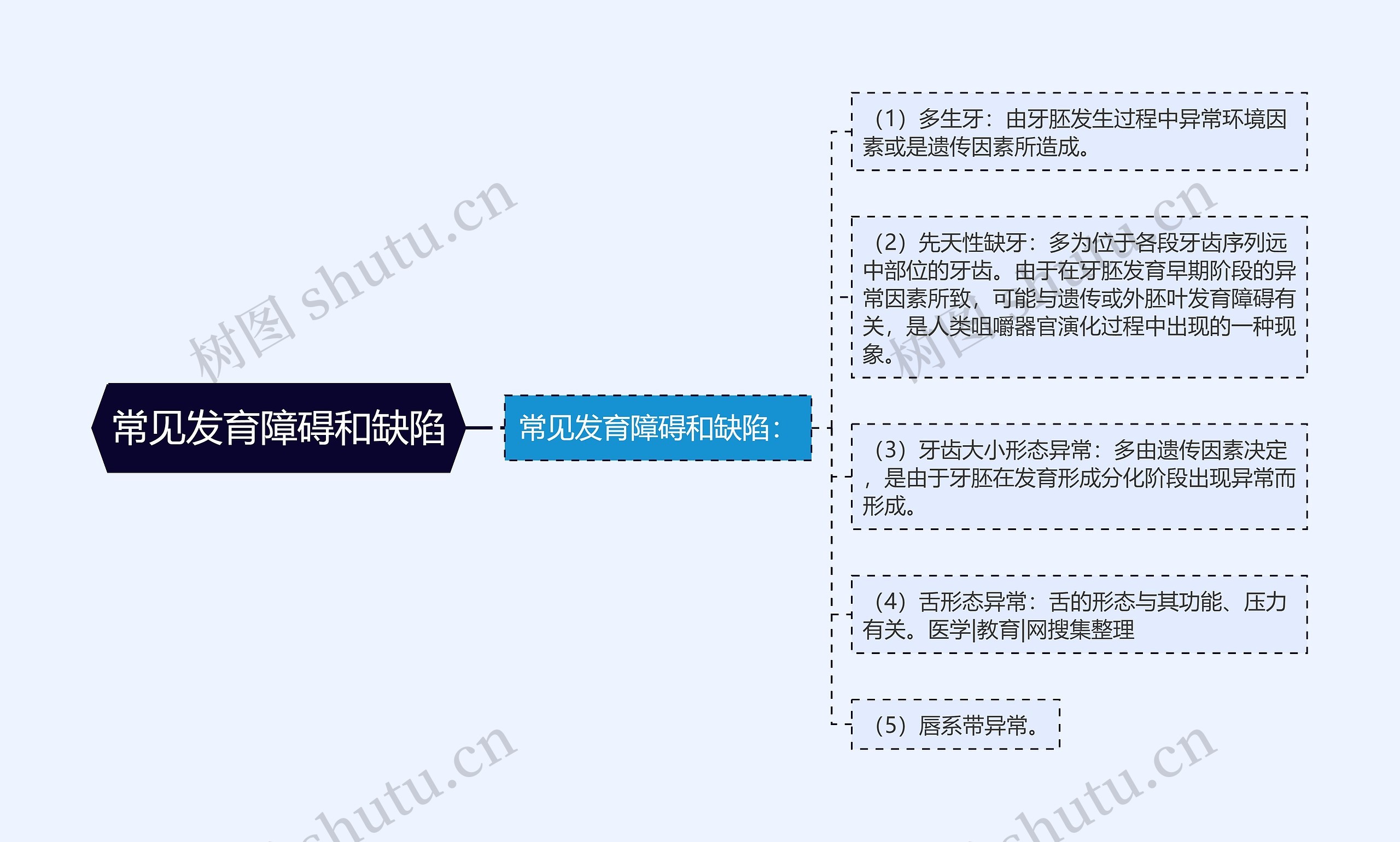 常见发育障碍和缺陷思维导图