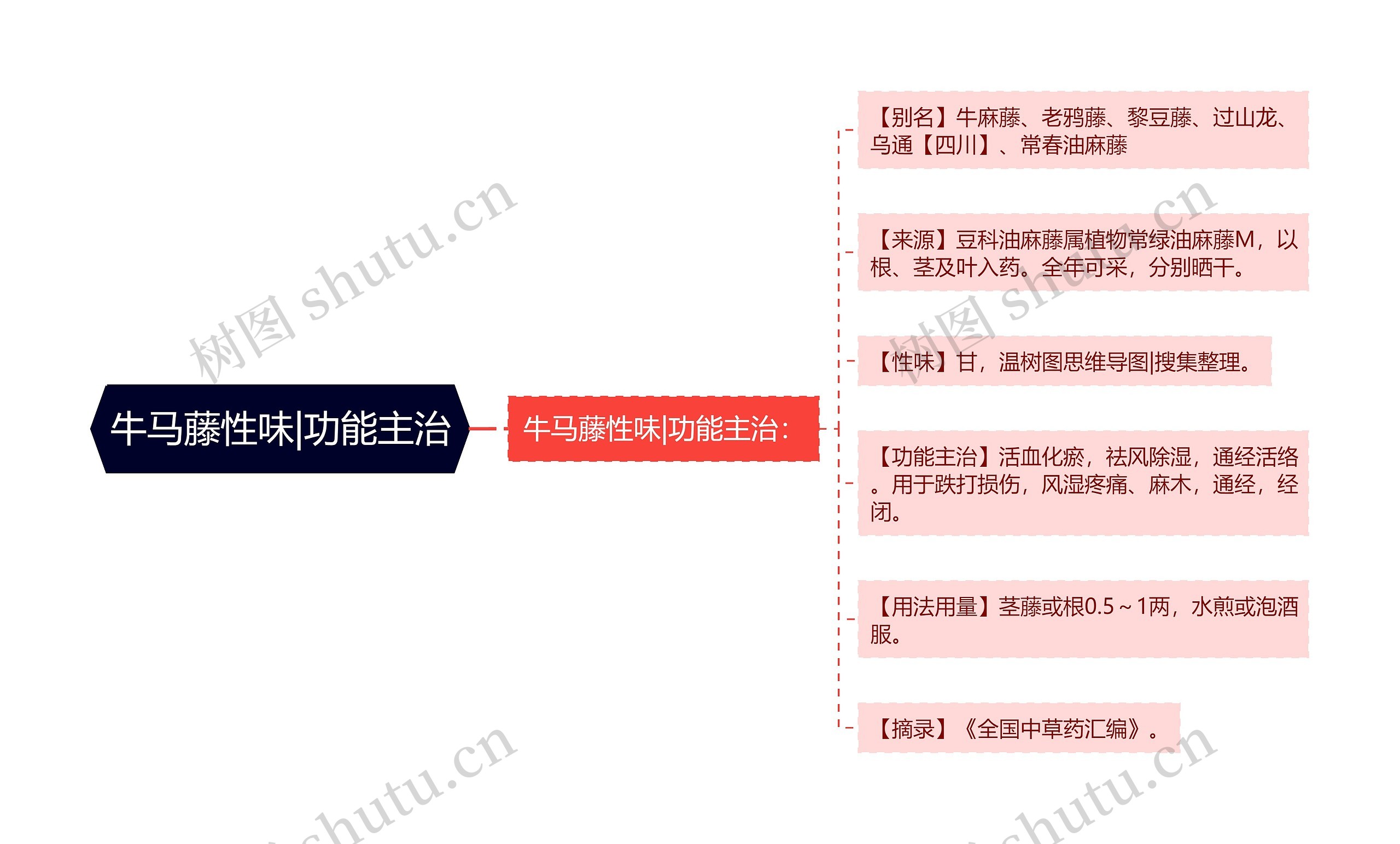 牛马藤性味|功能主治思维导图