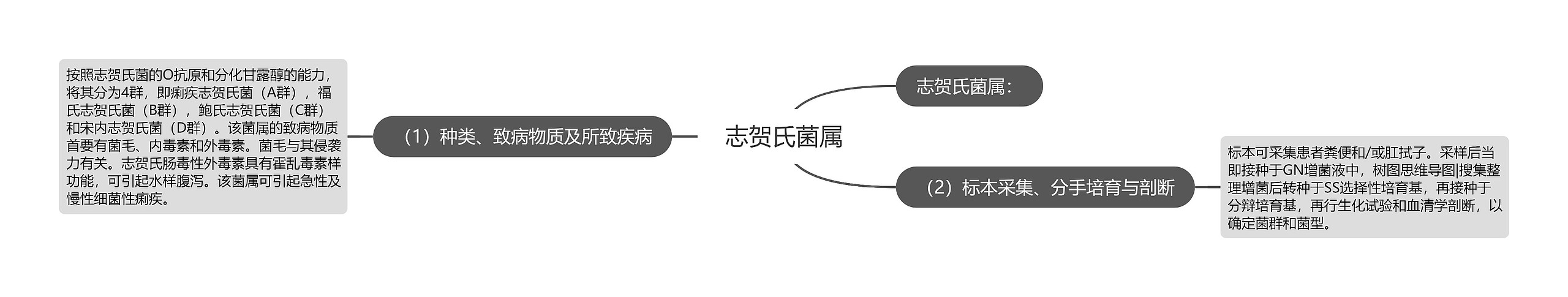 志贺氏菌属 志贺氏菌属