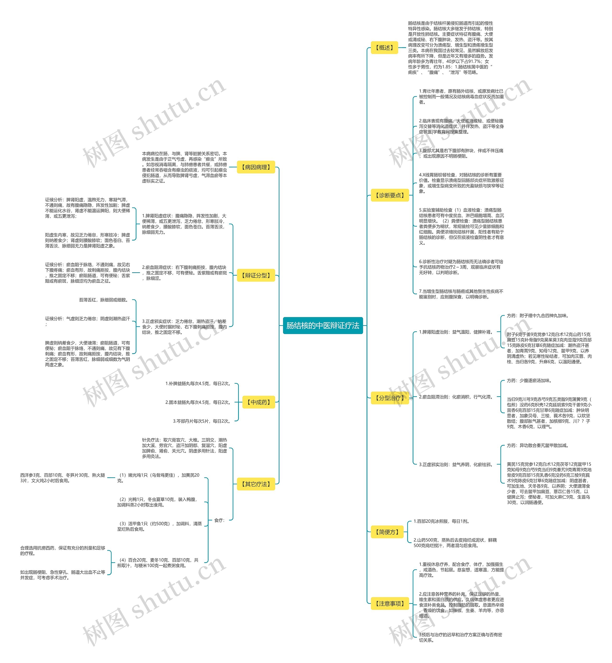 肠结核的中医辩证疗法思维导图