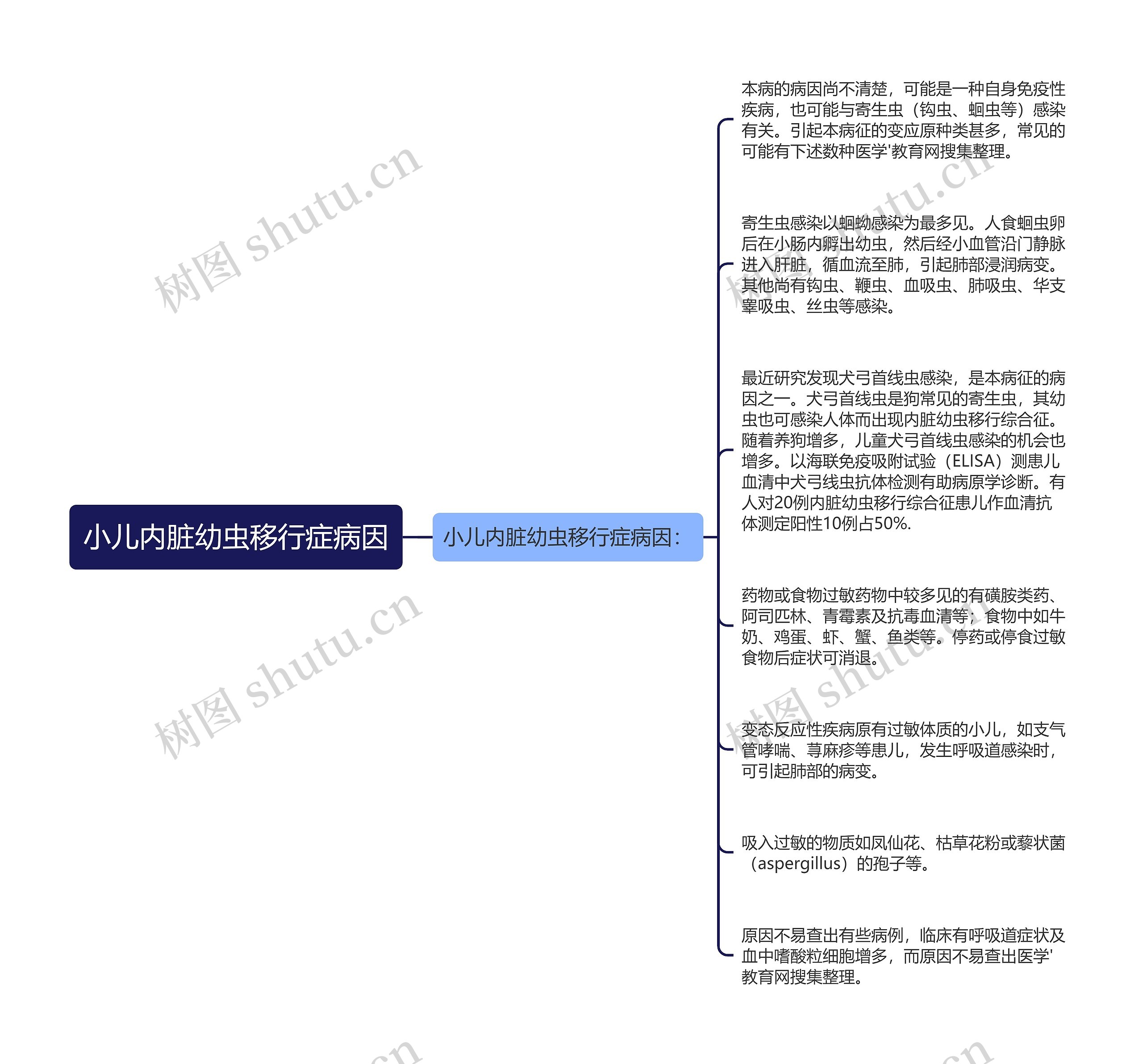 小儿内脏幼虫移行症病因思维导图