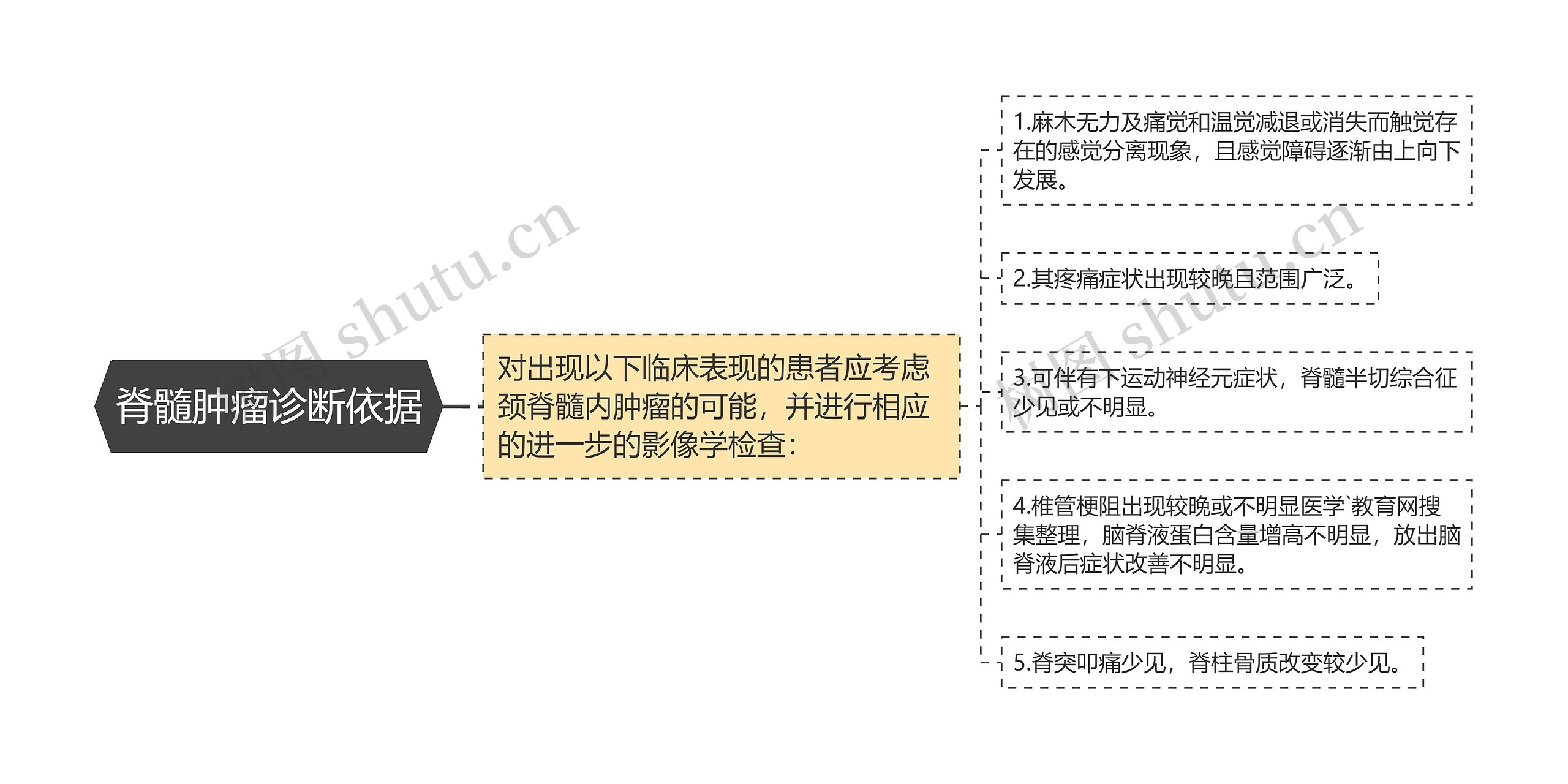 脊髓肿瘤诊断依据