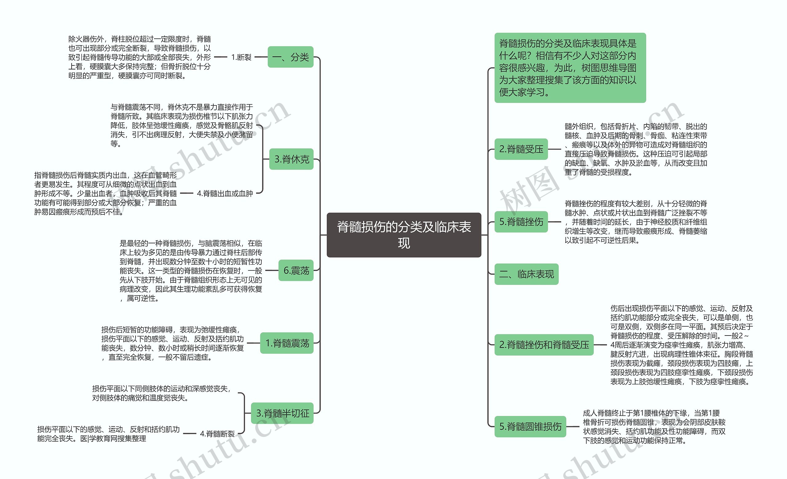 脊髓损伤的分类及临床表现思维导图