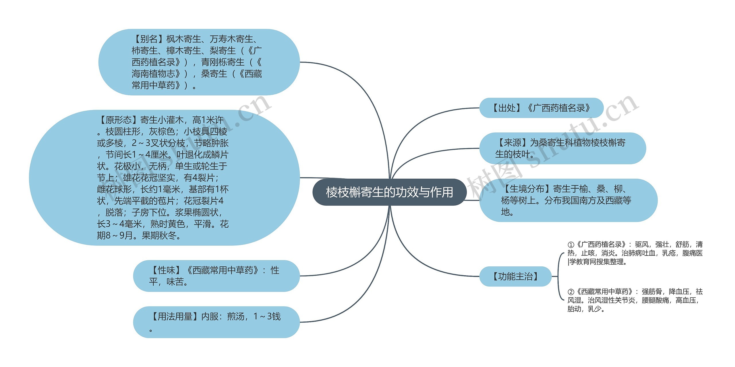 棱枝槲寄生的功效与作用思维导图