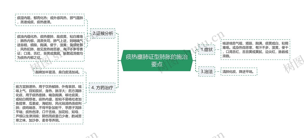 痰热壅肺证型肺胀的施治要点思维导图_编号p6768182-TreeMind树图