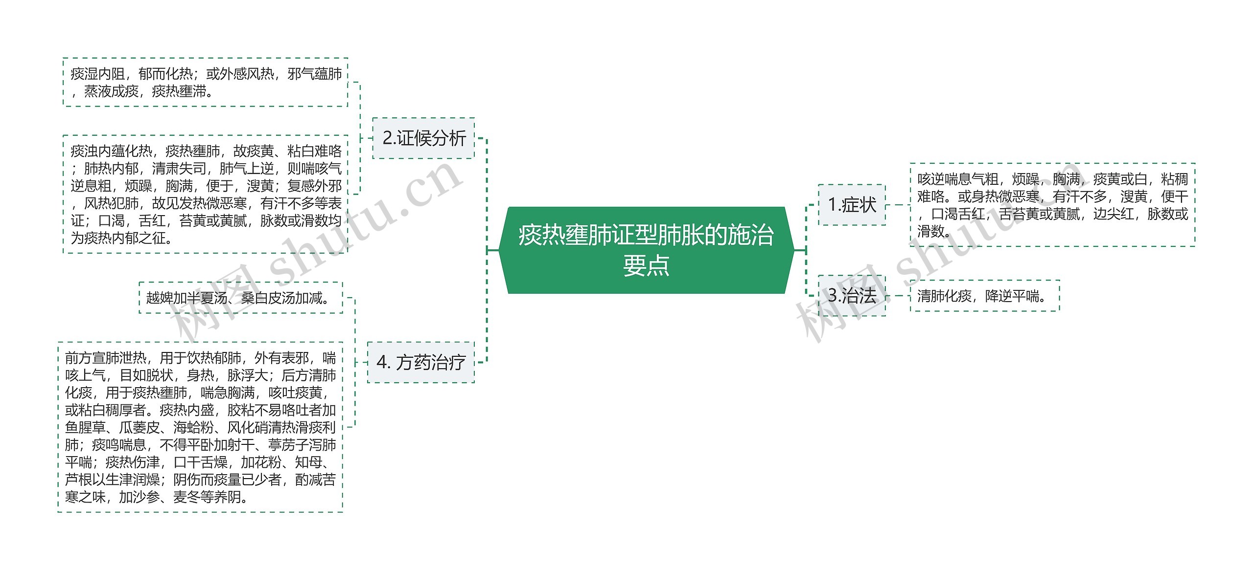 痰热壅肺证型肺胀的施治要点思维导图