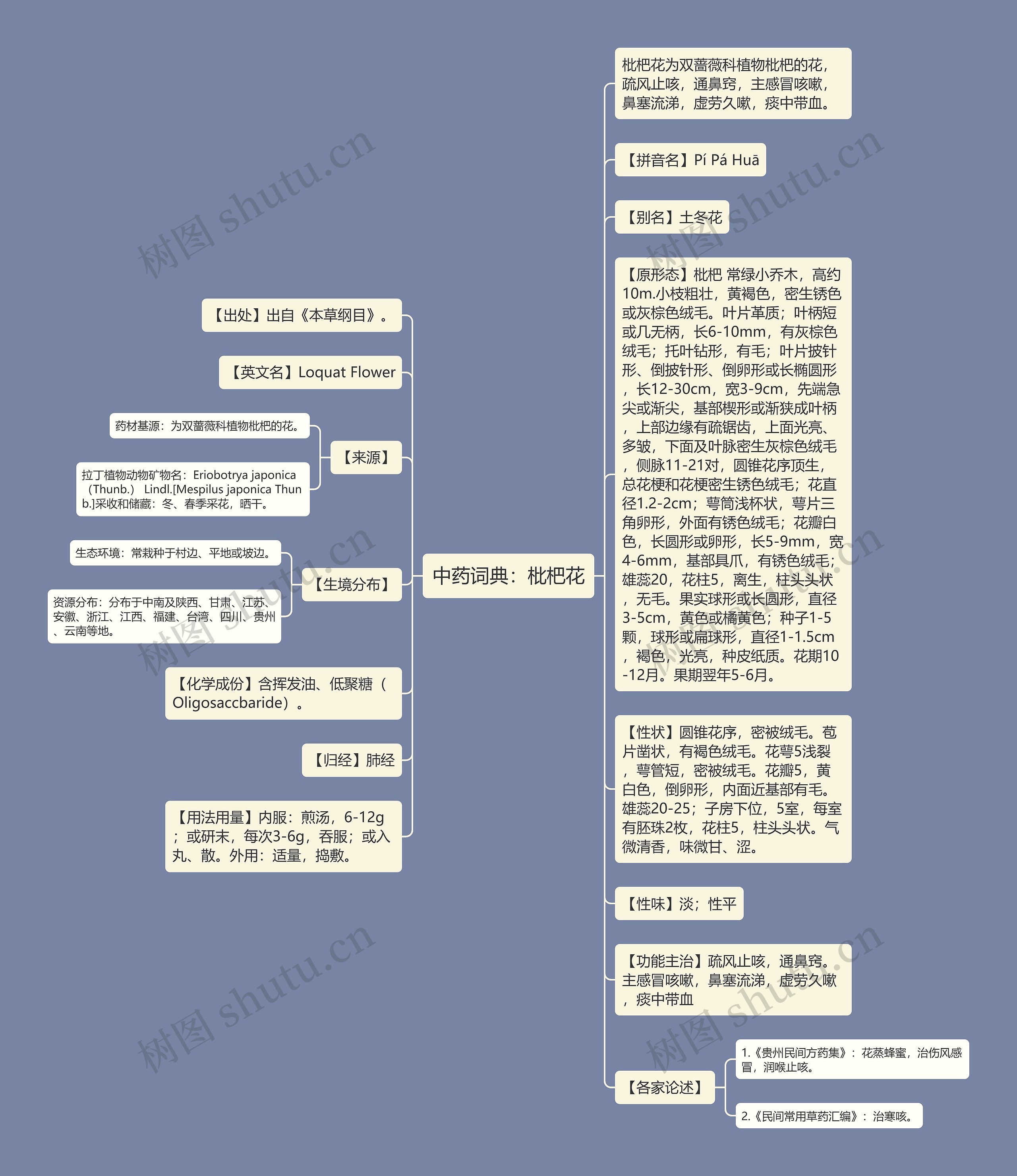 中药词典：枇杷花思维导图