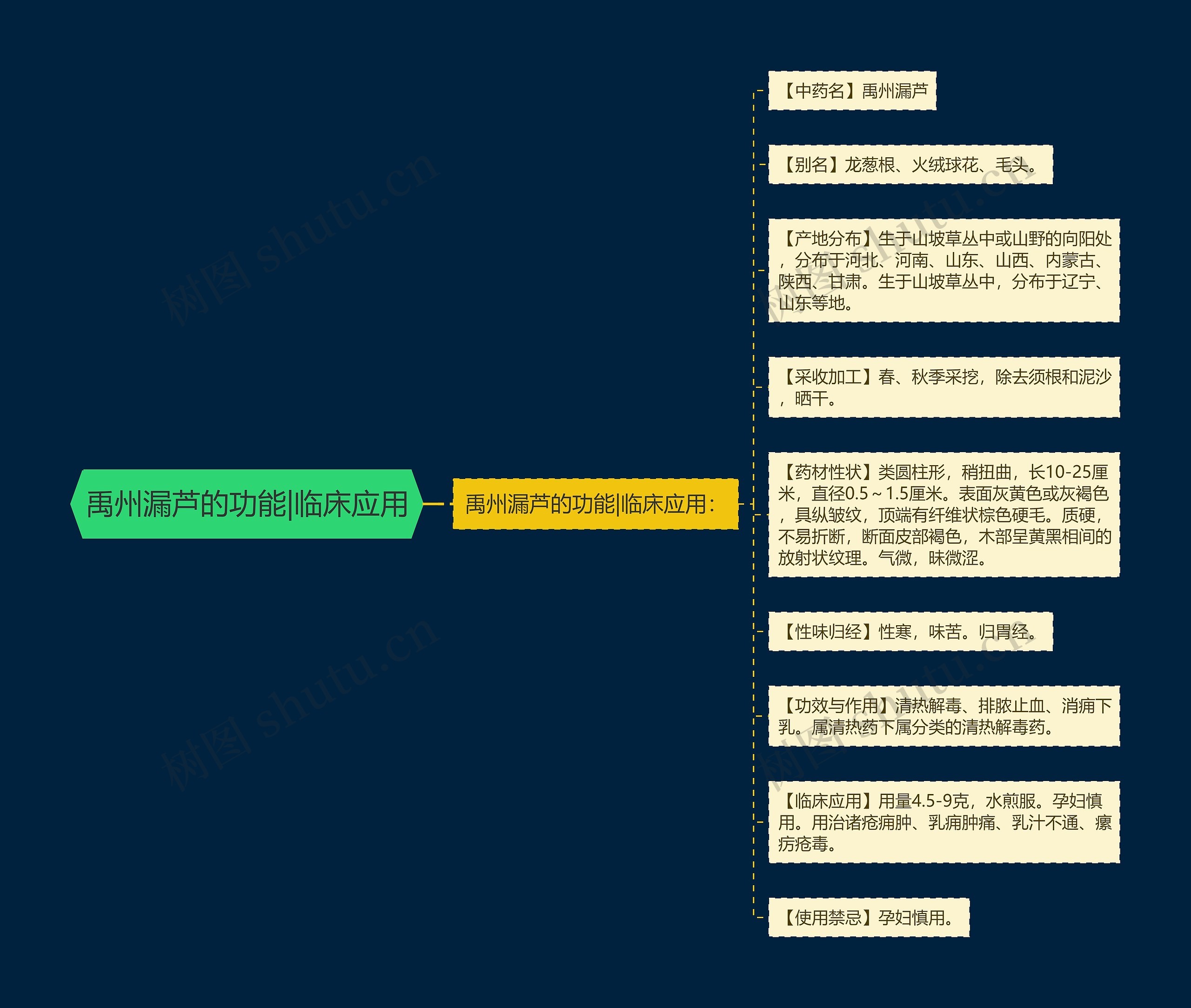 禹州漏芦的功能|临床应用 禹州漏芦的功能|临床应用