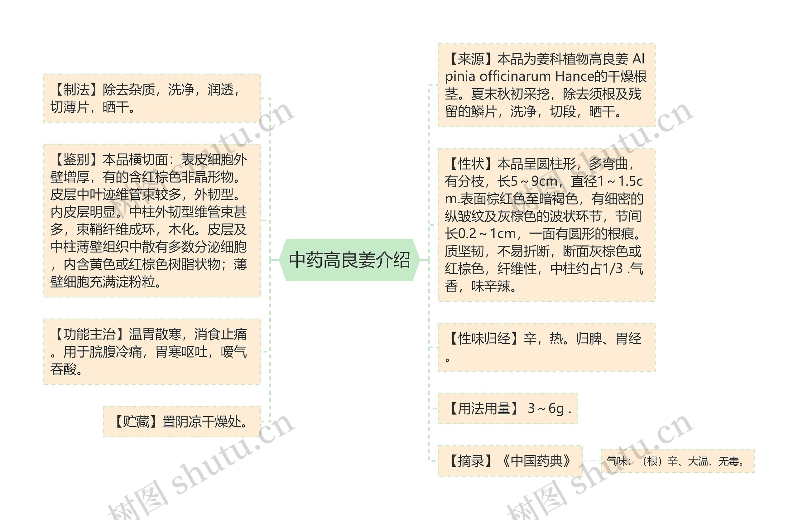 中药高良姜介绍思维导图